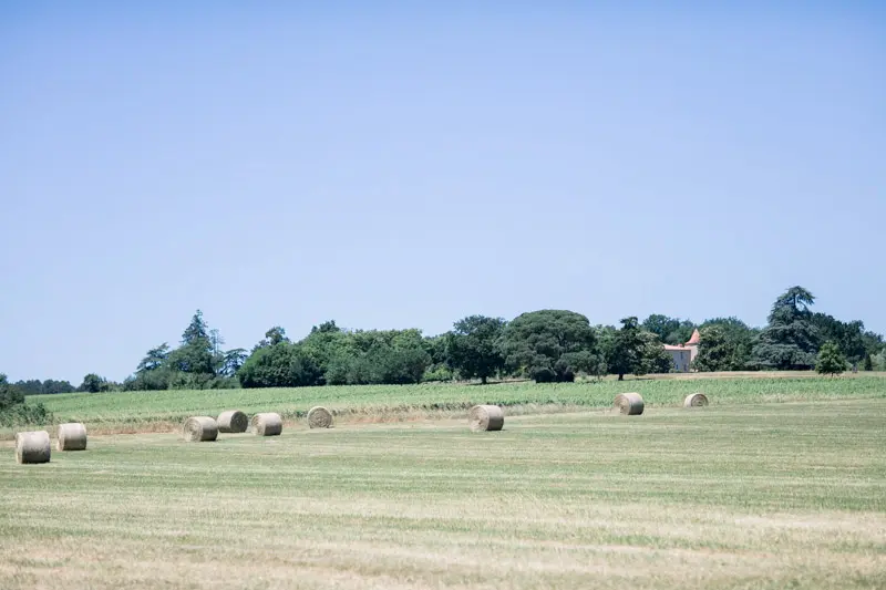 Hay field with round bales under a blue sky in Gironde