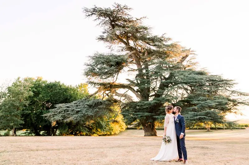 The newlyweds dwarfed by a majestic cedar at Château de Seguin
