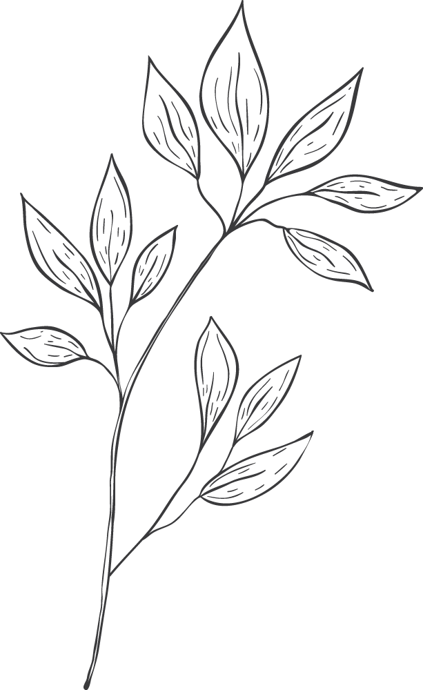 feuille