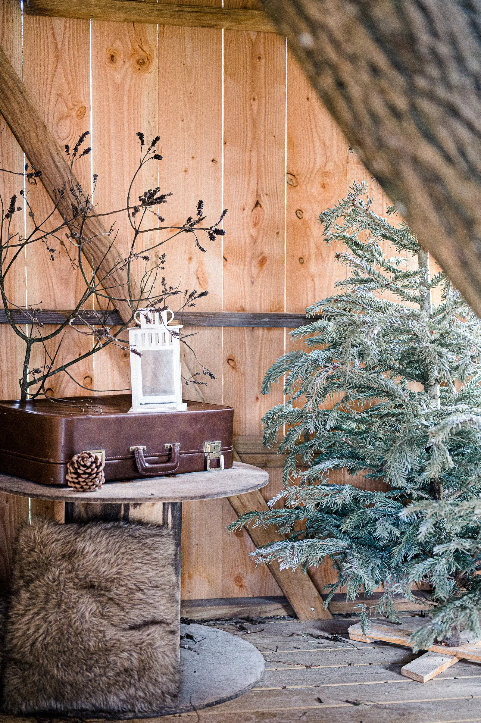 Intérieur de cabane en bois décoré d'un sapin, d'une lanterne et d'une valise ancienne