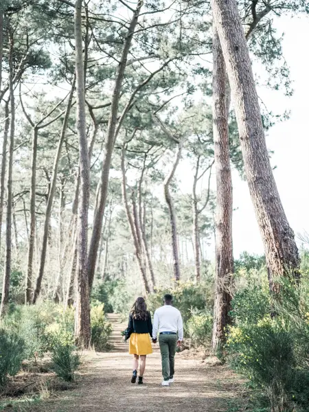 The couple walking hand in hand along a pine-lined path