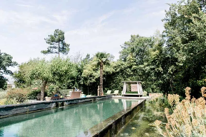 Long pool lined with pines and palms at Villa La Tosca