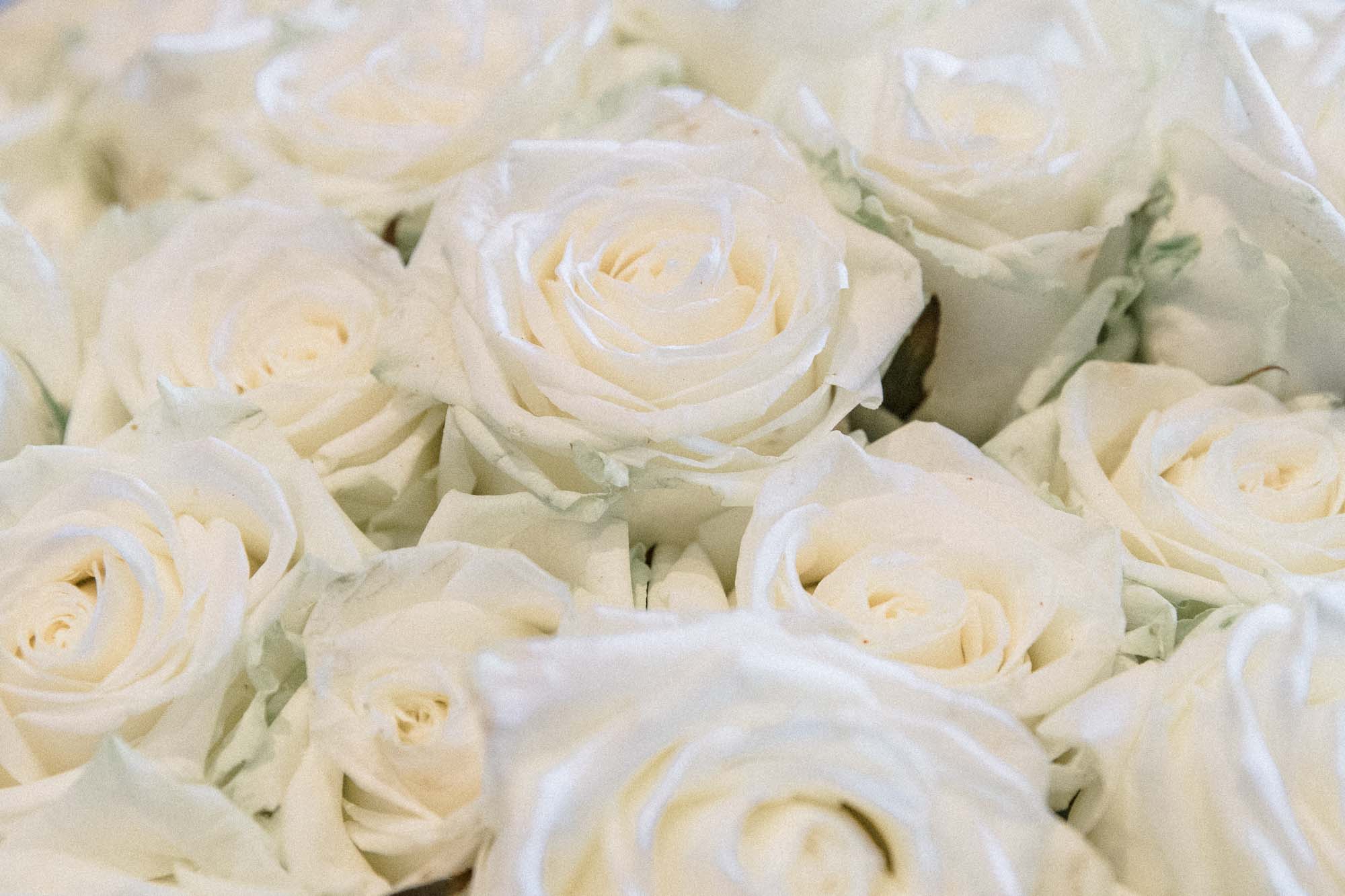 Close-up of a bouquet of white roses for the couple shoot