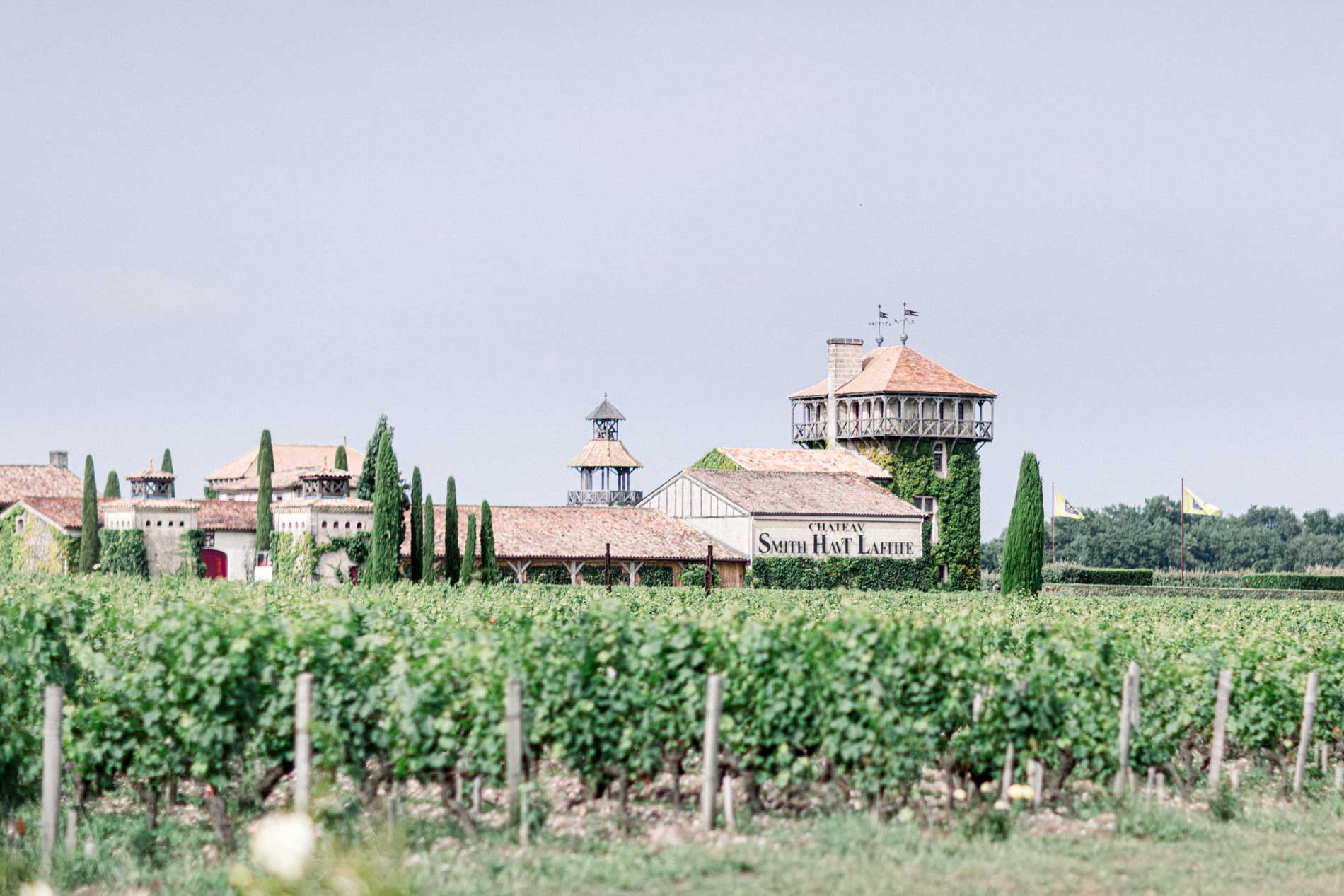 View of Château Smith Haut Lafitte and its tower above the vineyards