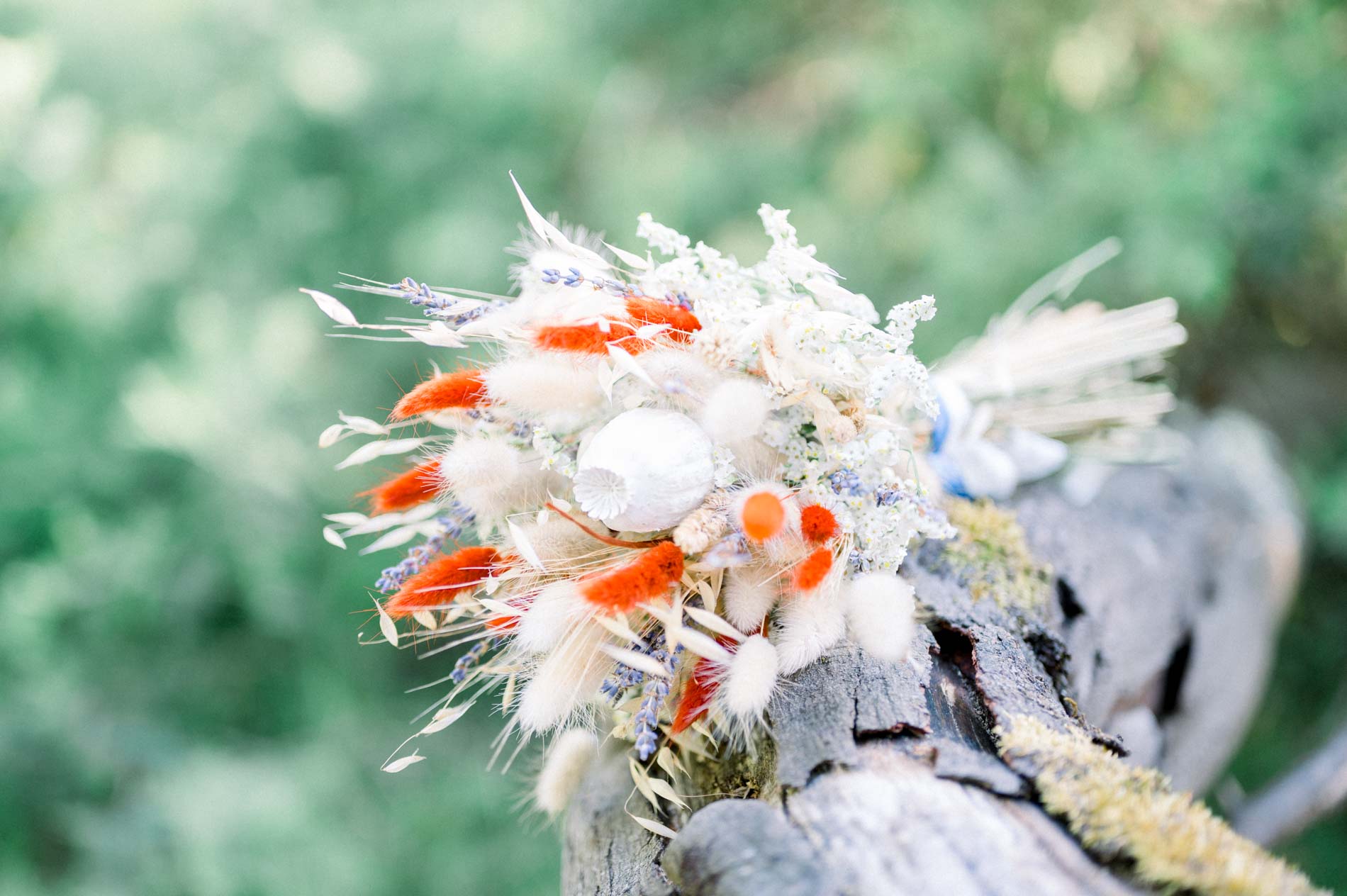 Dried orange and white flower bouquet resting on driftwood