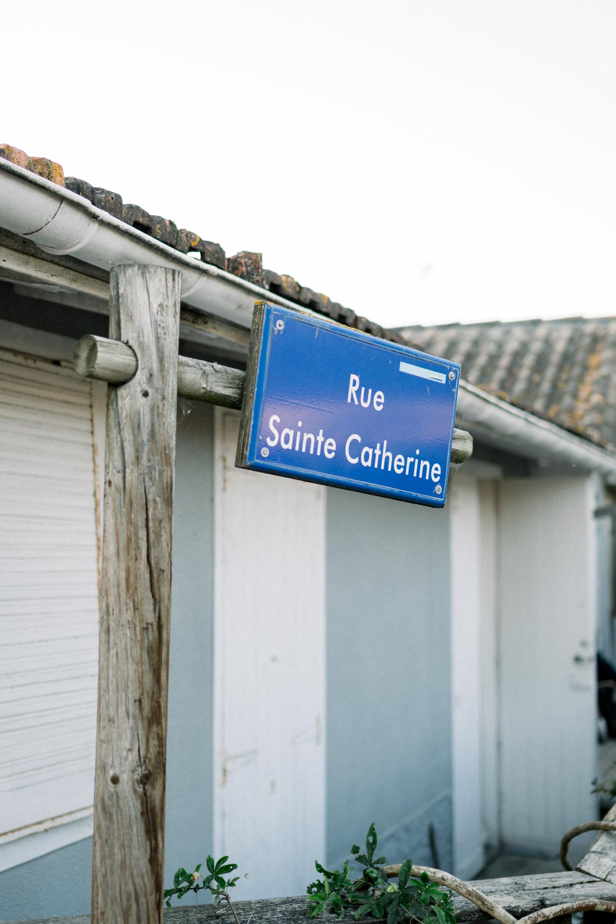 Blue street sign for Rue Sainte-Catherine in Le Canon village, Cap Ferret