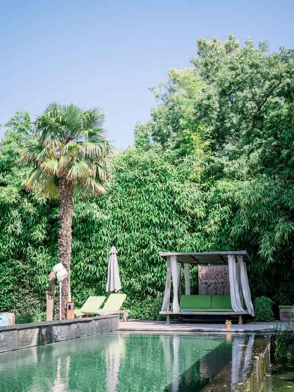 Palm-fringed swimming pool and canopy daybed at Villa La Tosca