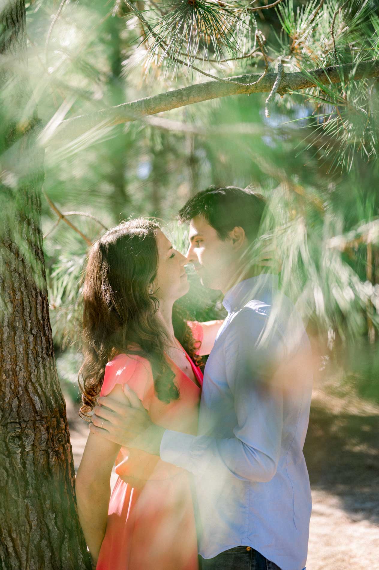 The couple share a kiss in the shade of the pines during their engagement shoot