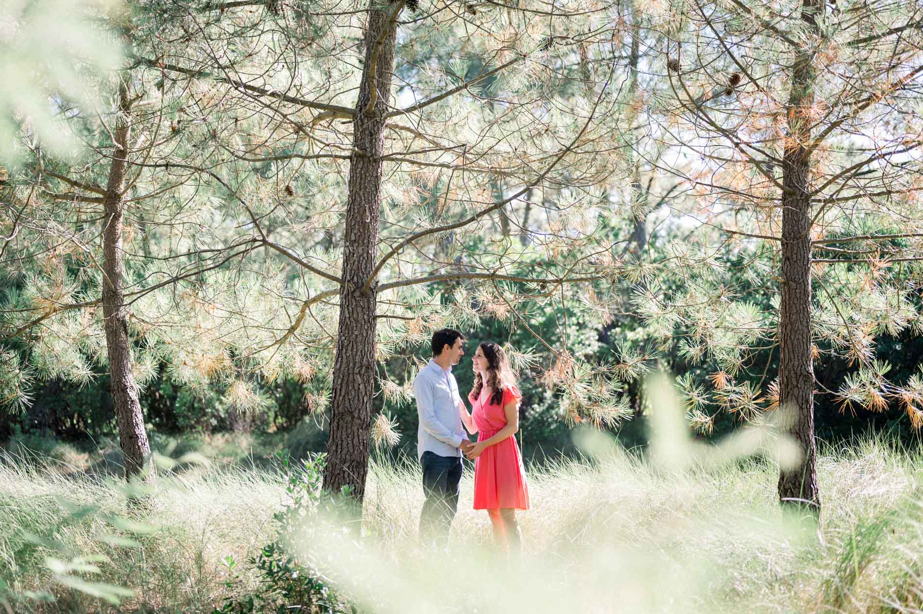 The couple in the distance in a sunlit pine woodland