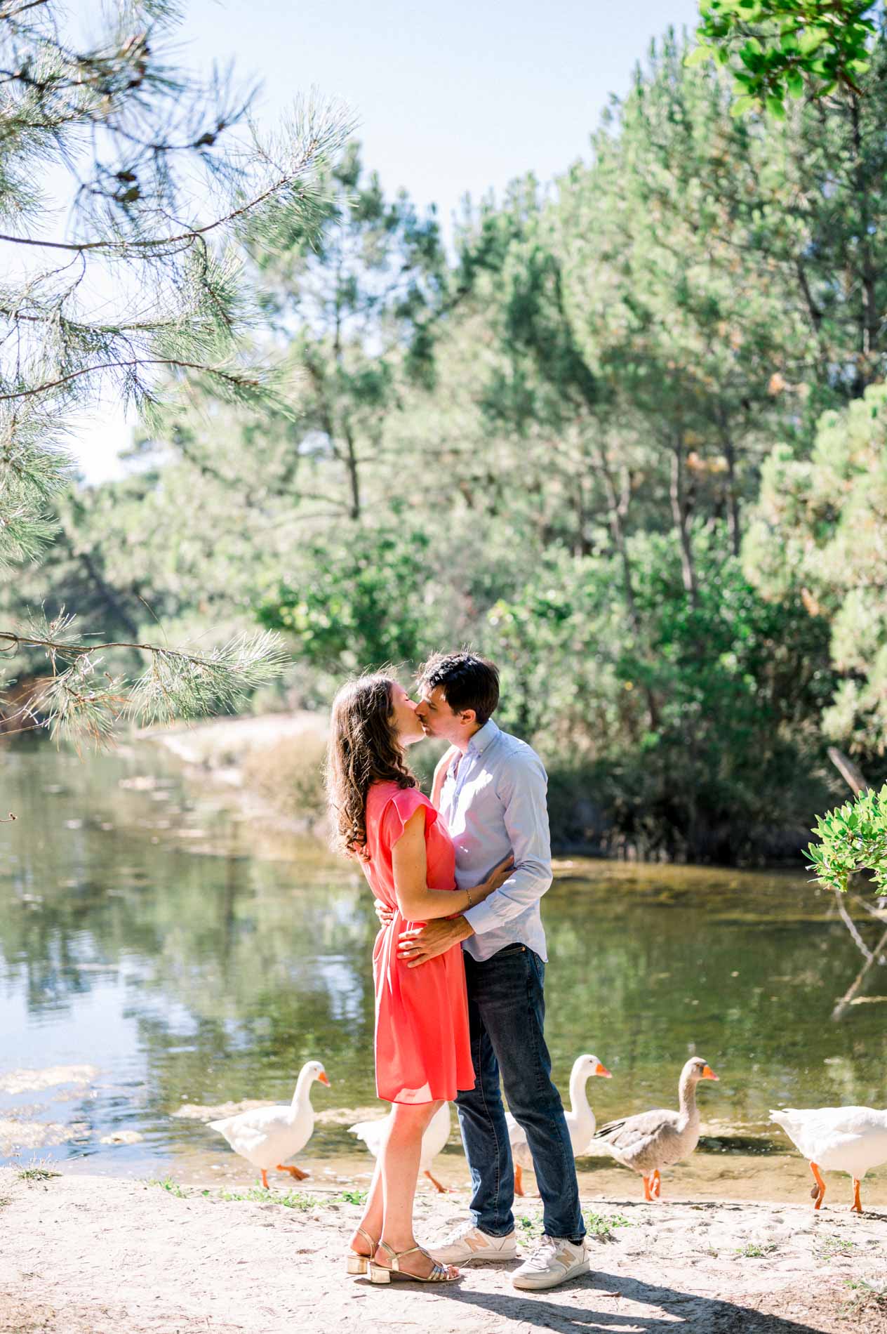 The couple kiss at the edge of the pond surrounded by white geese
