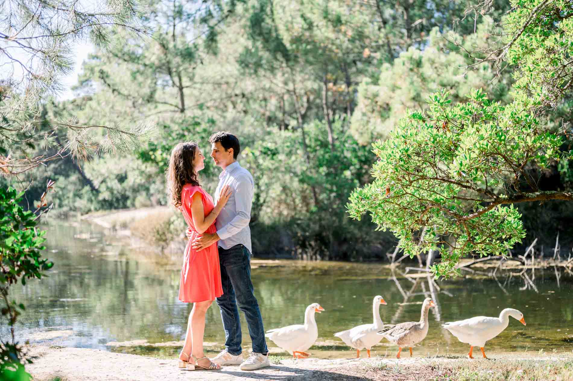 The engaged couple embracing by the pond with white geese at their feet