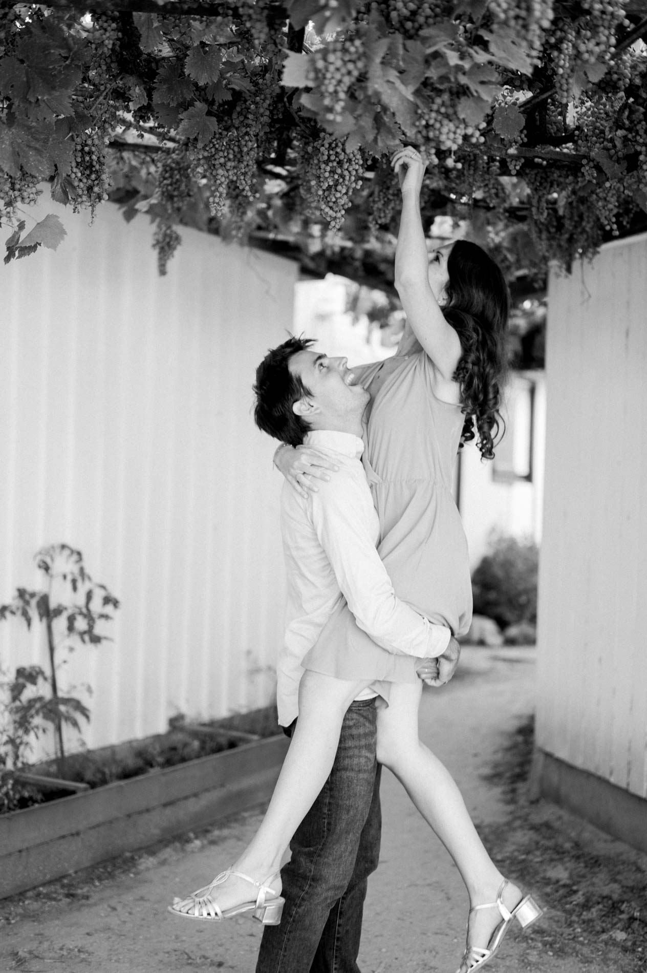Black and white shot of the fiancé lifting his bride-to-be up towards a vine arbour