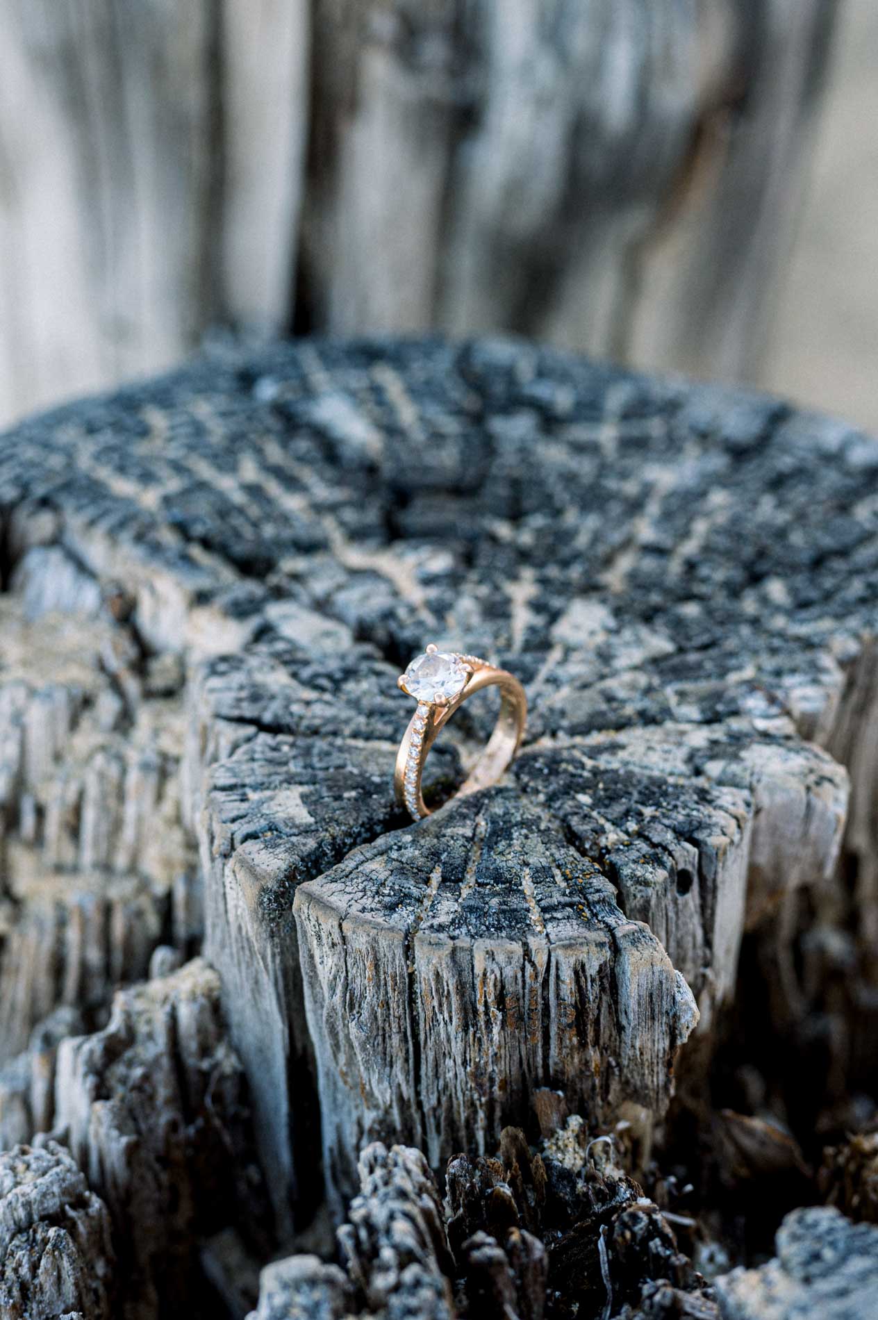 Vertical close-up of the engagement ring resting on a wooden post