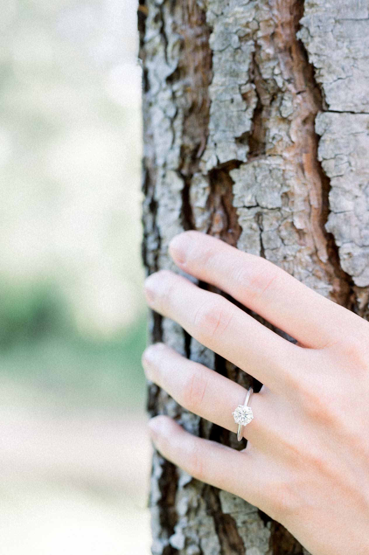 Hand wearing the engagement ring resting on pine bark