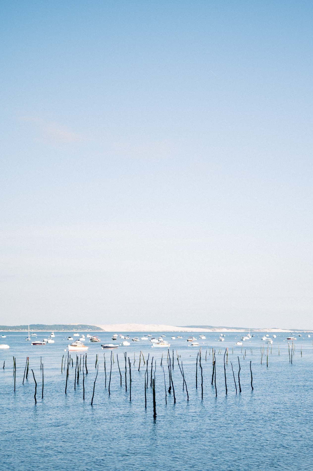 Oyster bed stakes and boats on Arcachon Bay with the dune on the horizon