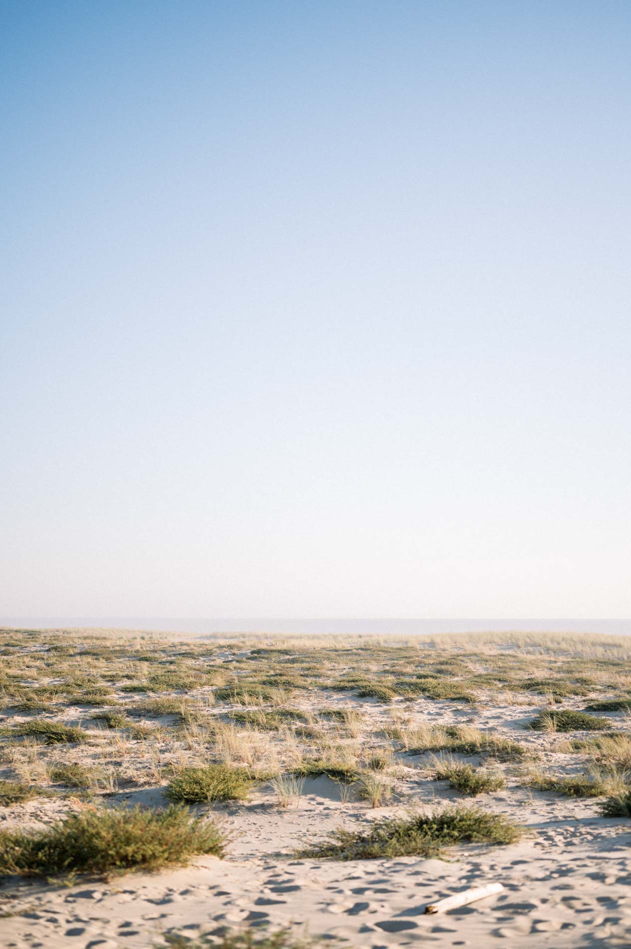 Grassy dune and ocean horizon under a pale blue sky