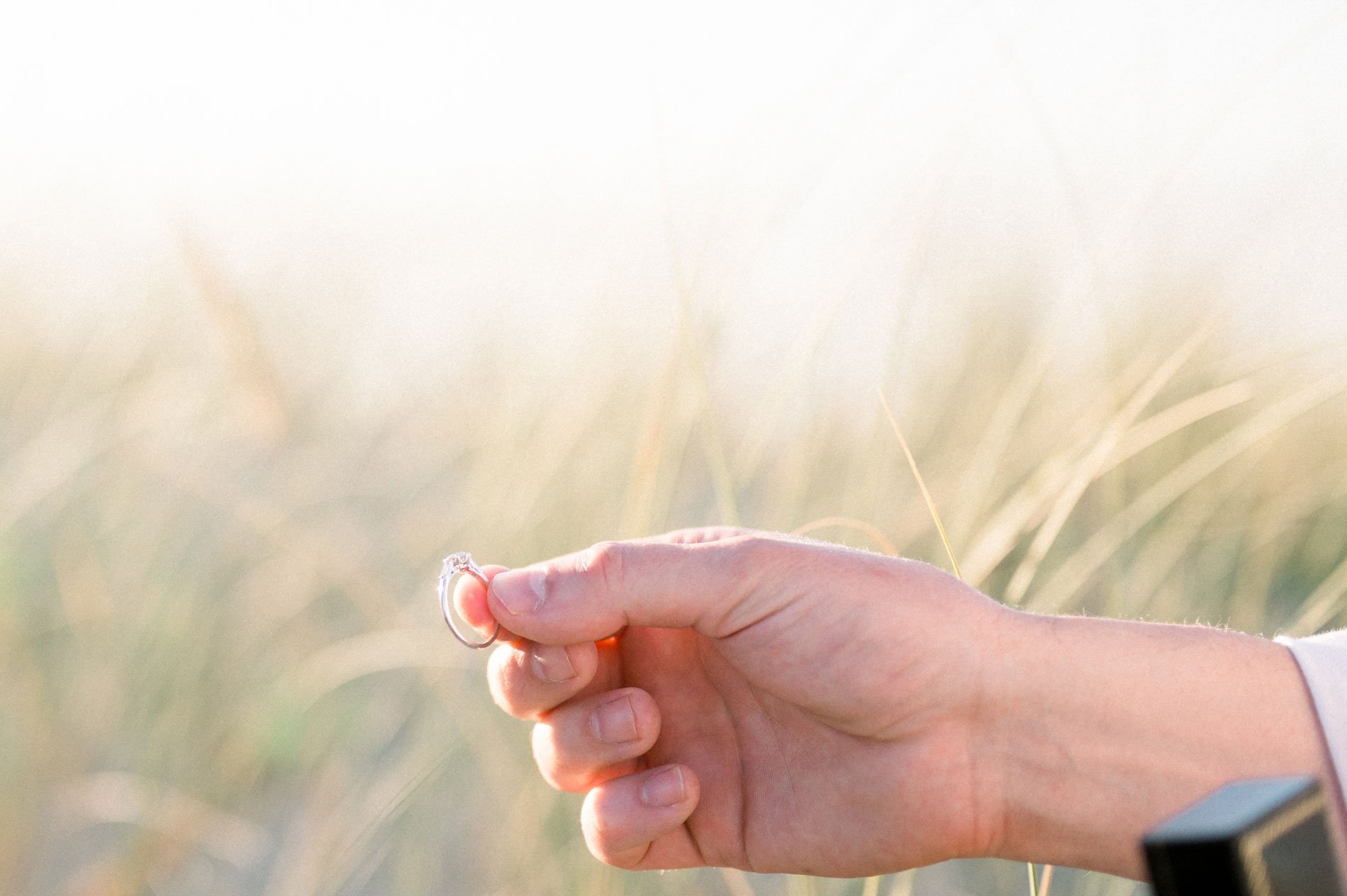 Man's hand holding the engagement ring above golden grasses