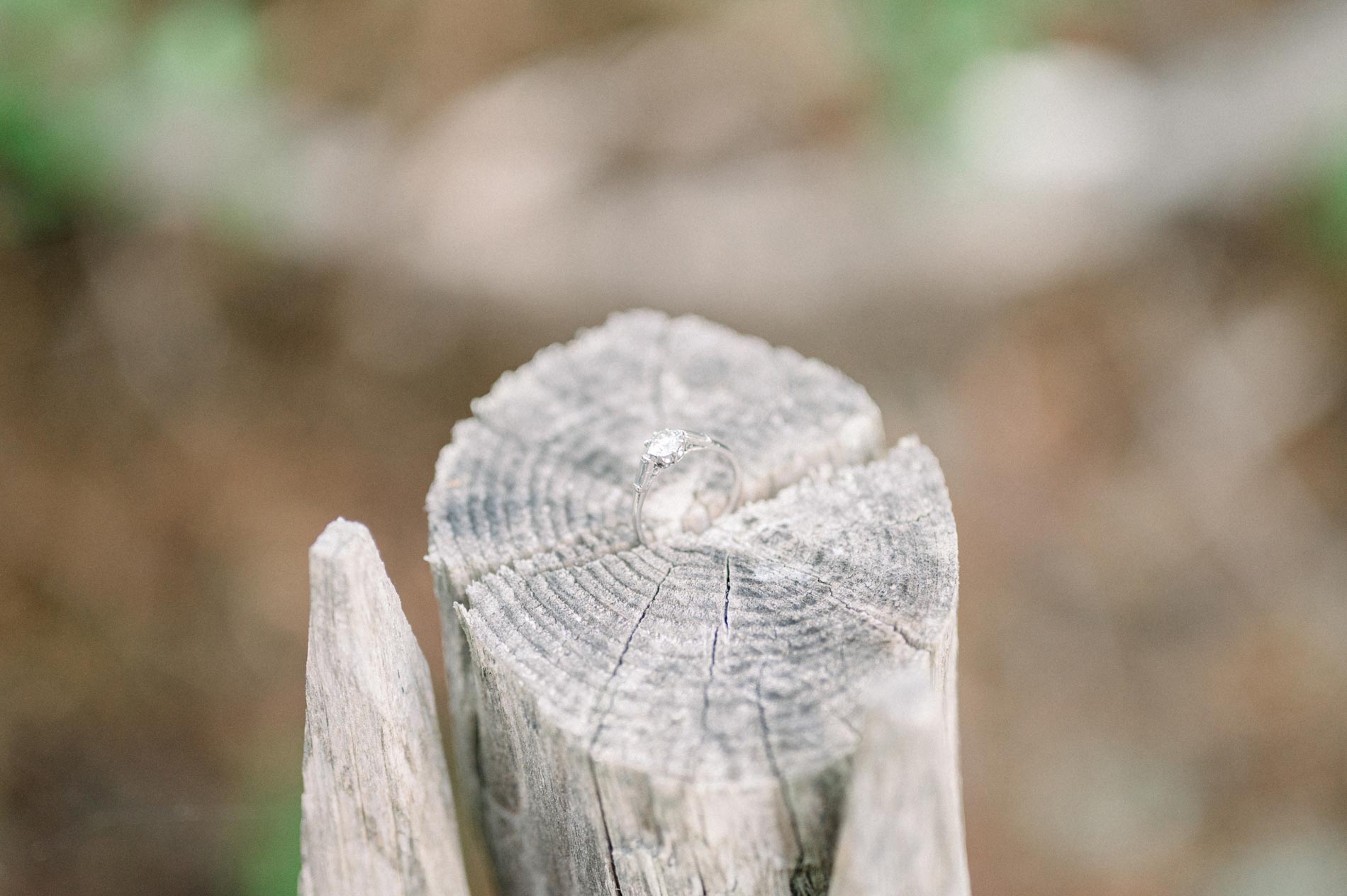 Weathered wooden post in the foreground with blurred greenery behind