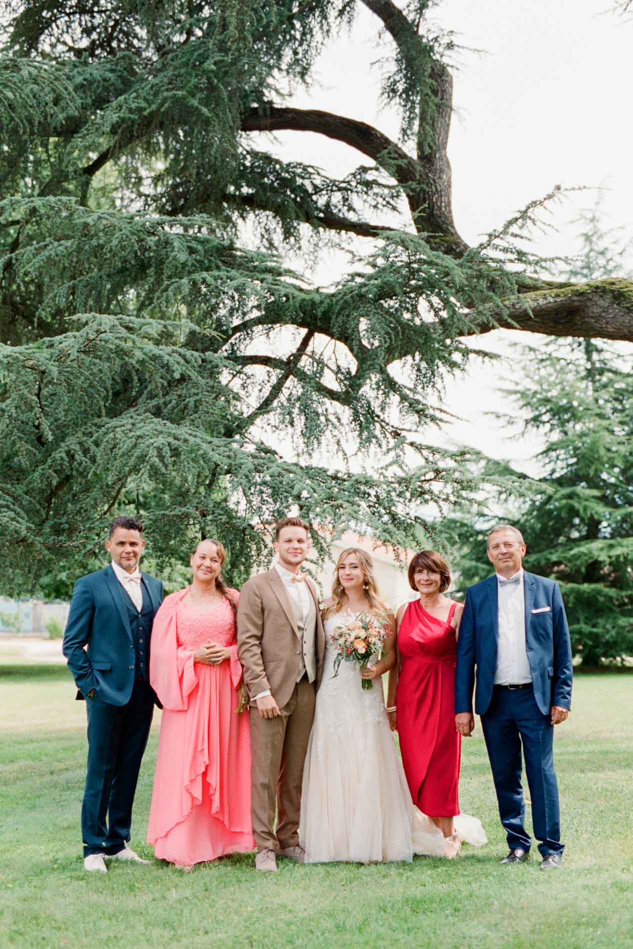 Photo de groupe des mariés et de leur famille sous un grand cèdre