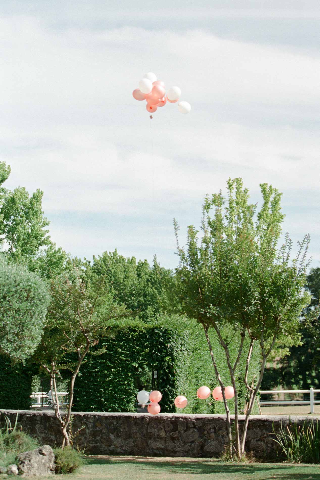 Ballons roses s'envolant dans le ciel au-dessus du parc du domaine