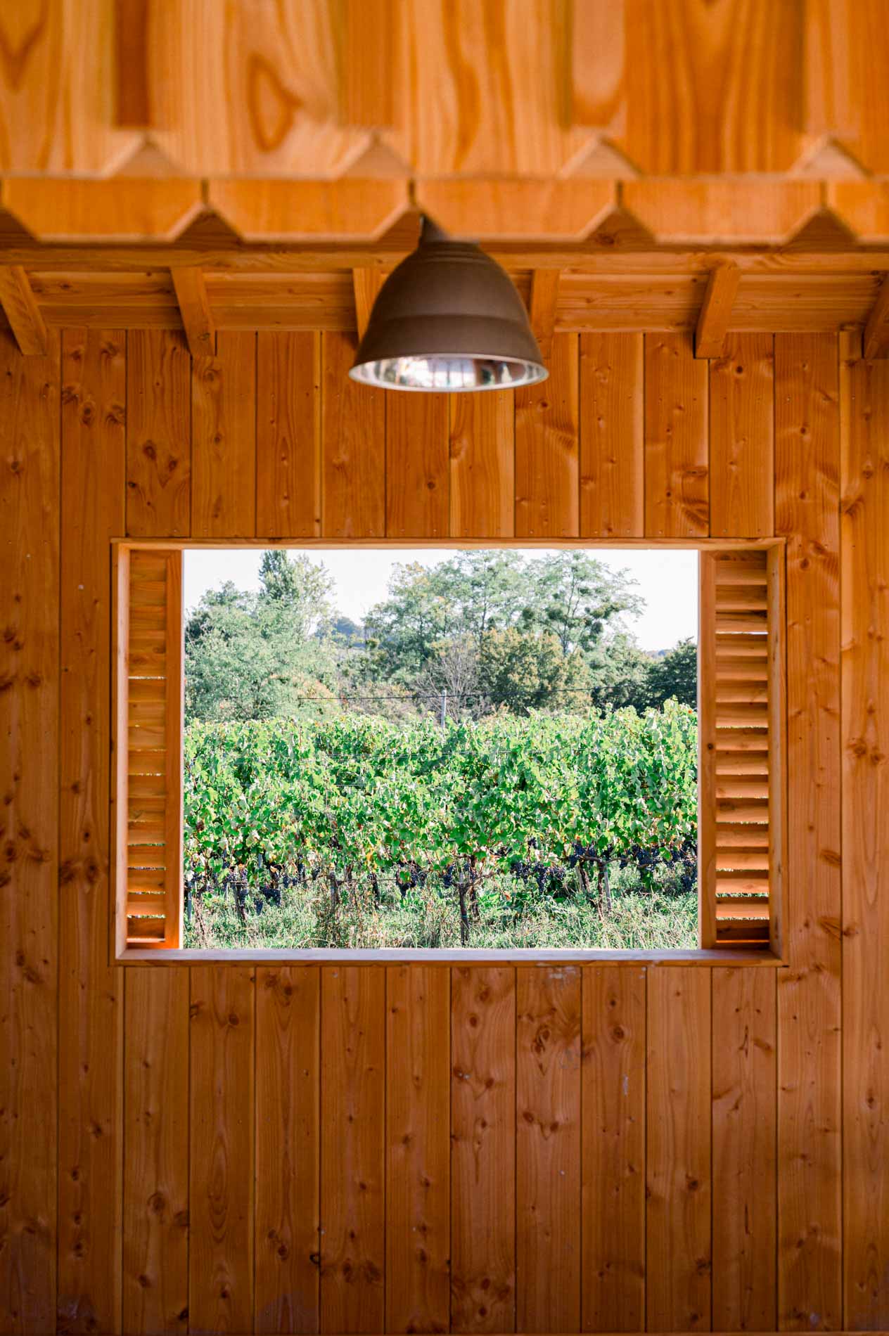 Vineyard seen through a window in a wooden wall during the wedding preparations