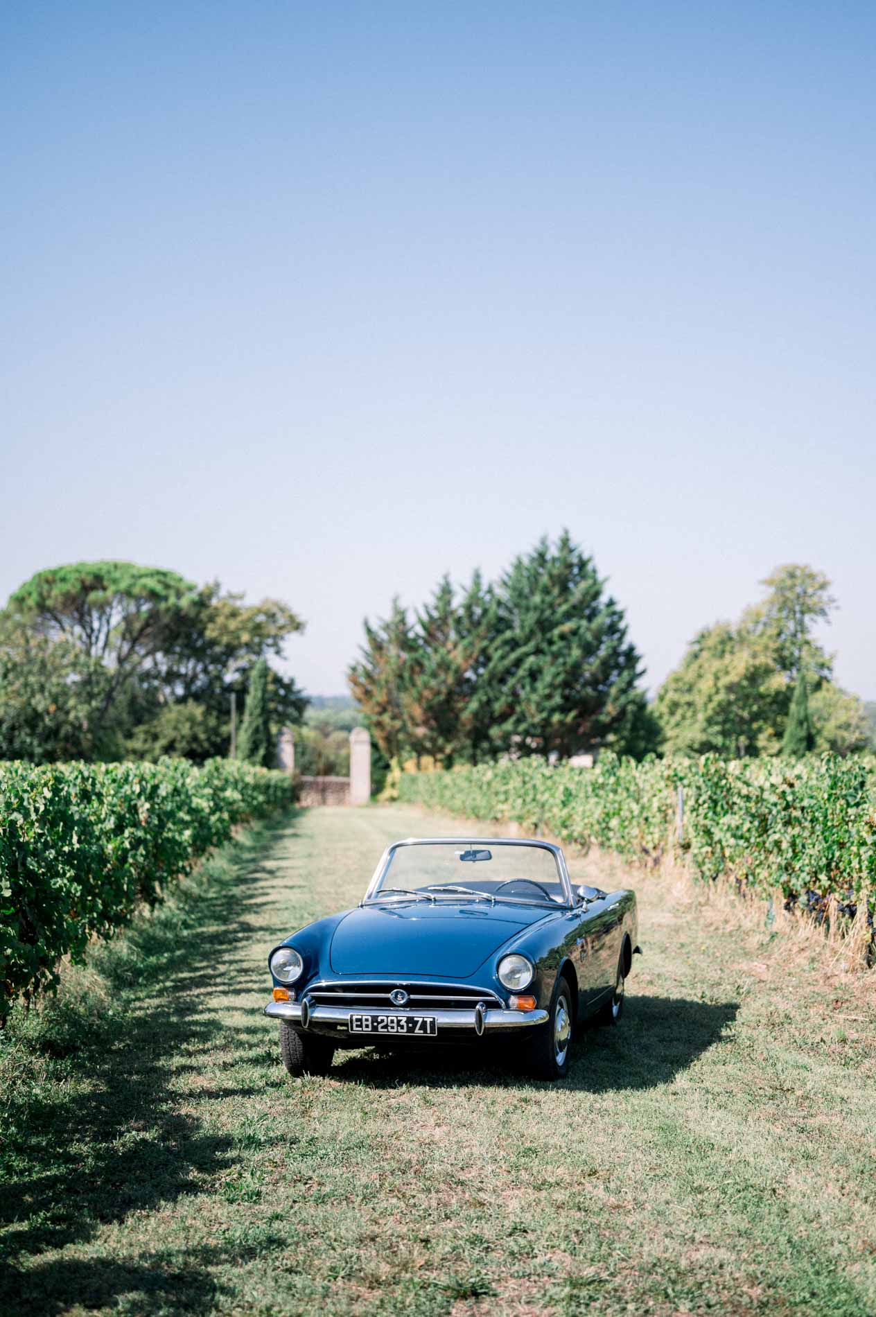 Vintage blue convertible parked between the vines on the wedding morning