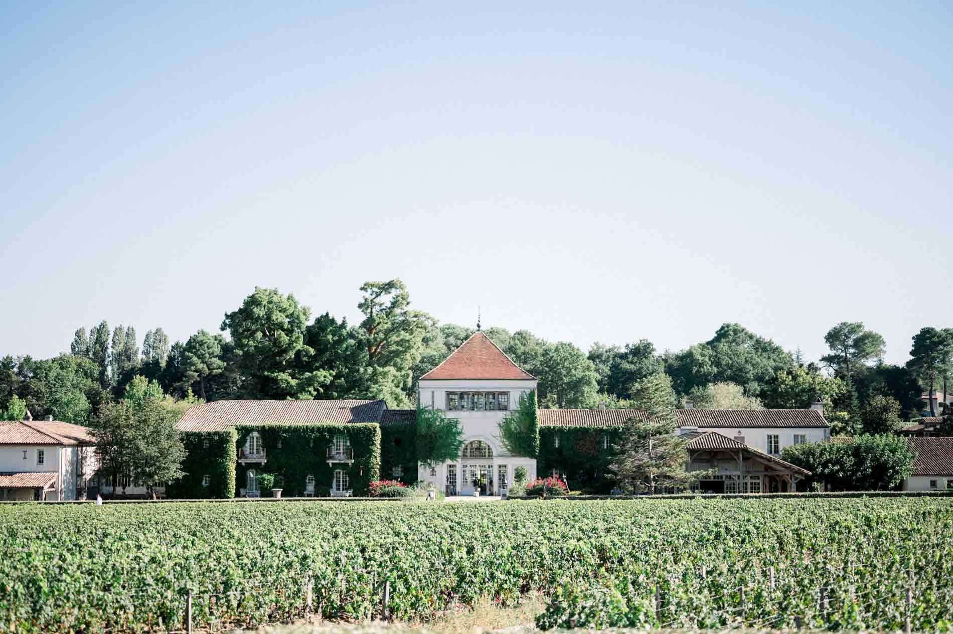 View across the vineyard to Château Smith Haut Lafitte under a summer sky
