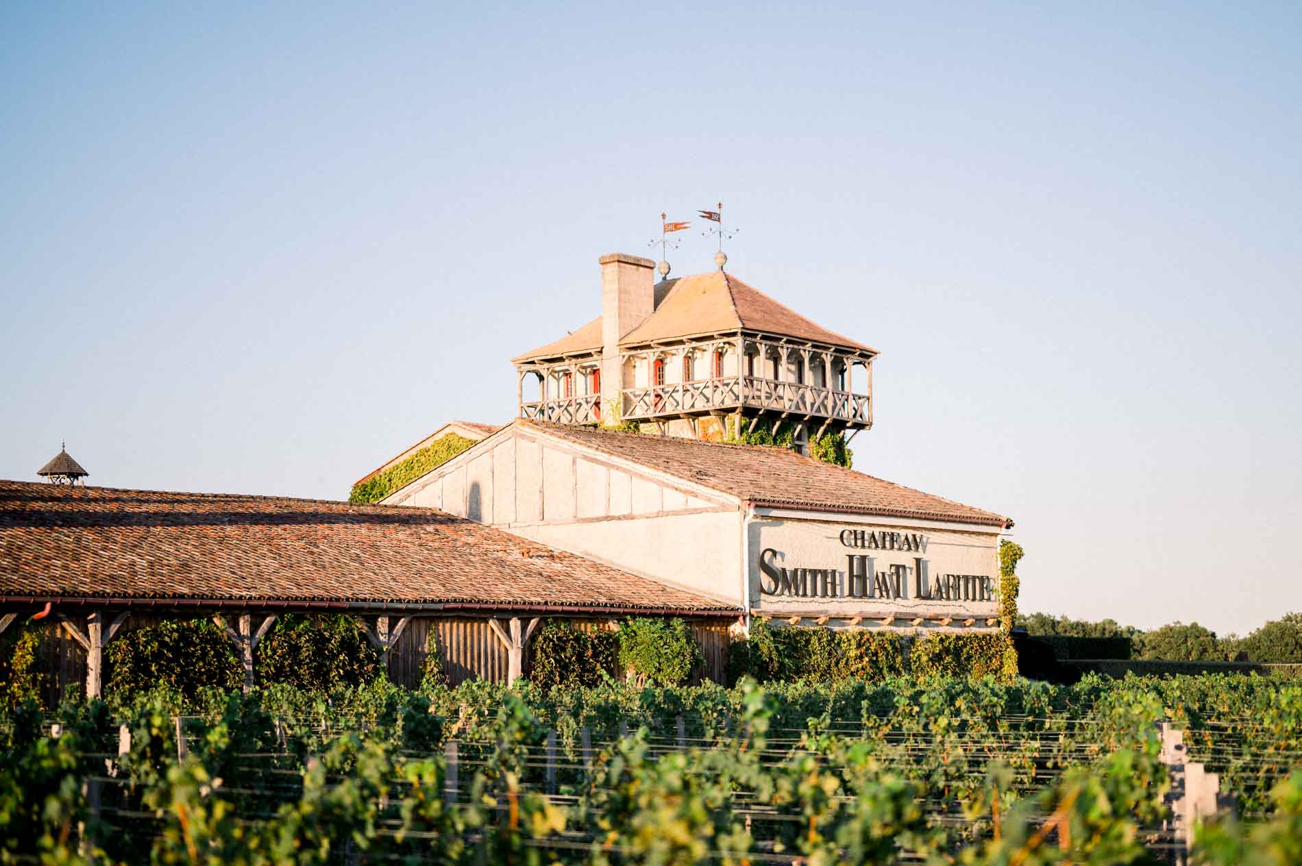 The Château Smith Haut Lafitte winery and its sign seen from the vines