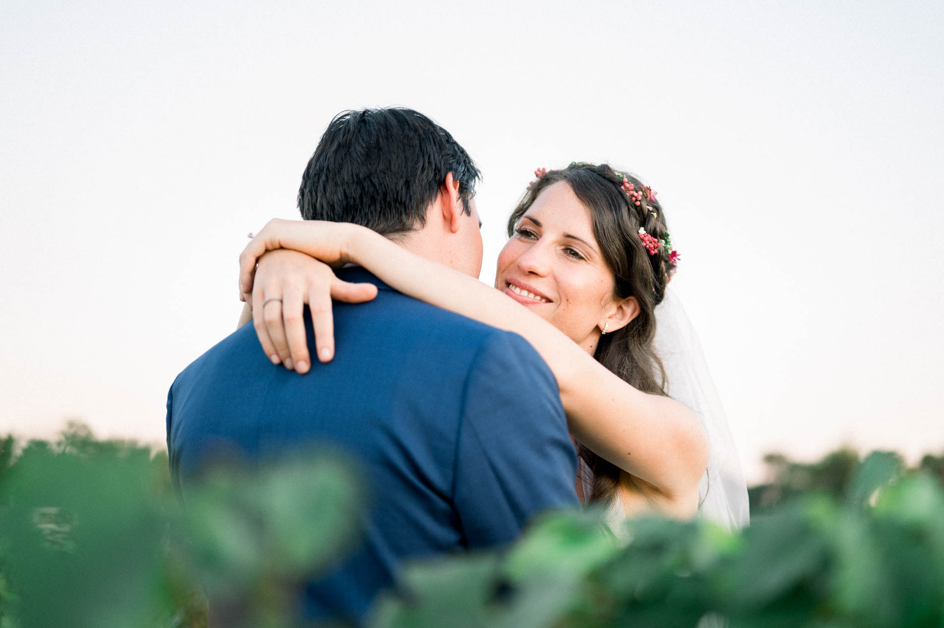 The bride and groom embracing among the vines at sunset