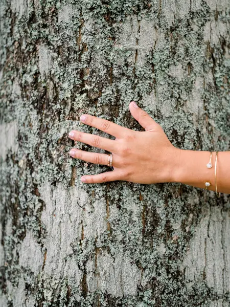 The bride's hand and wedding ring resting on the bark of a tree trunk