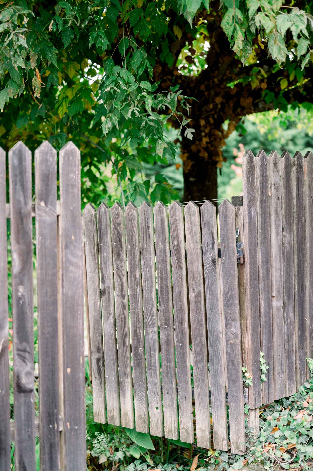 Weathered wooden picket fence under a tree in the farm garden