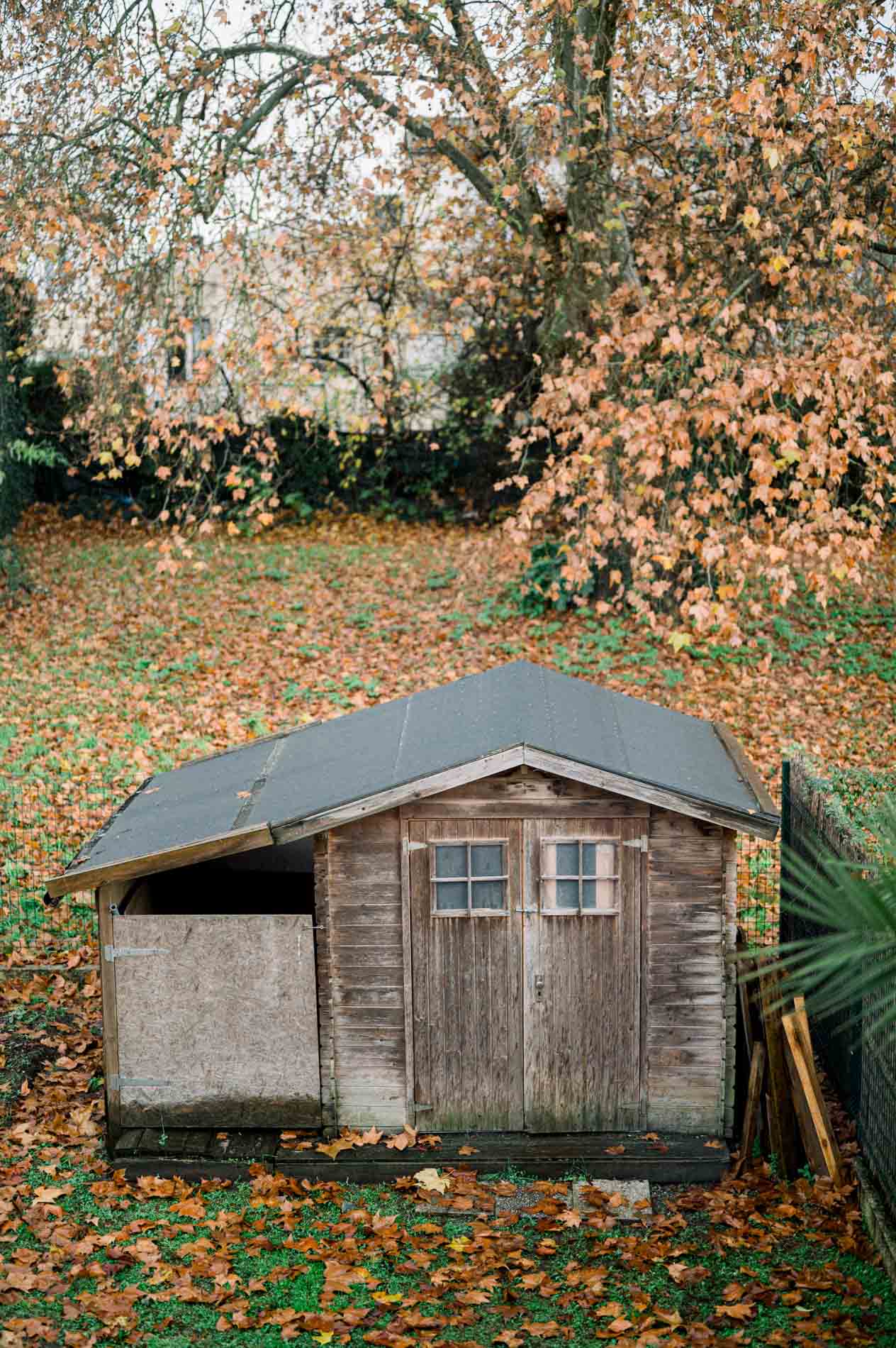 Cabane en bois dans un jardin couvert de feuilles d'automne