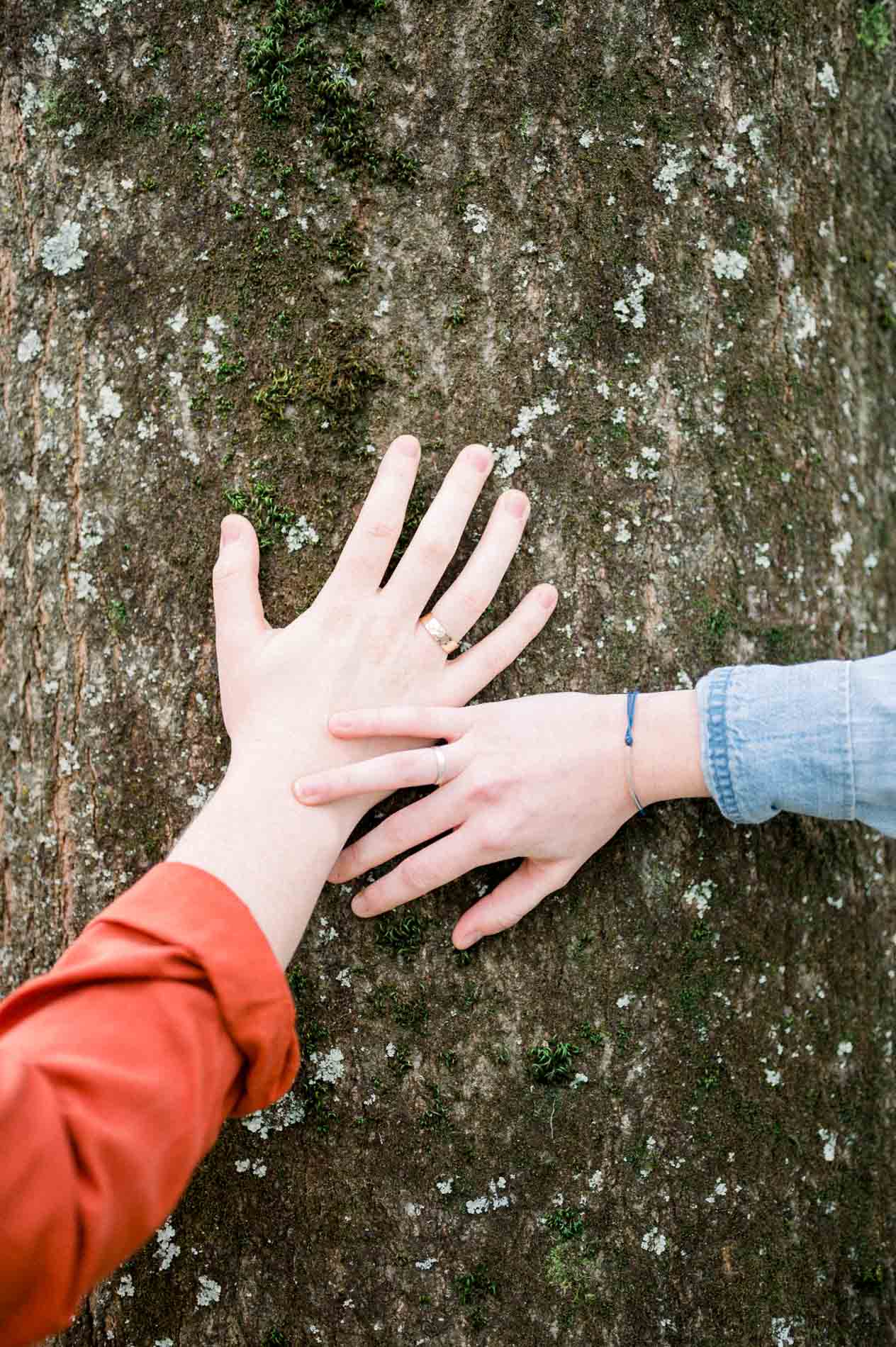 The couple's hands resting together on a mossy tree trunk