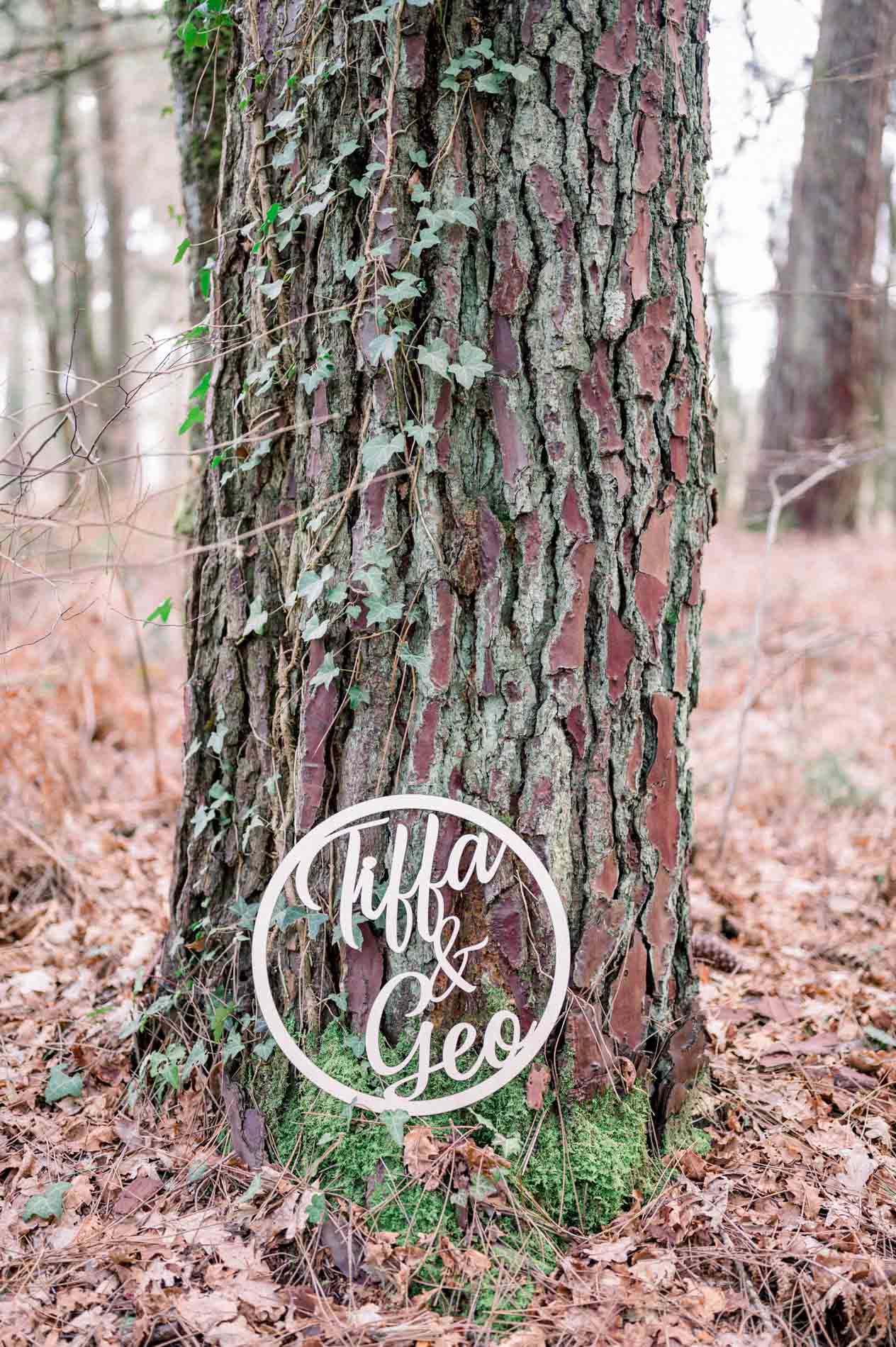 Engraved wooden sign resting at the foot of an ivy-covered pine