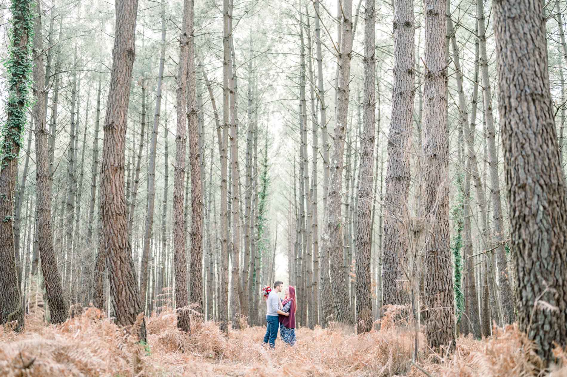 Tiny figures of a couple at the end of a pine avenue, forest engagement session