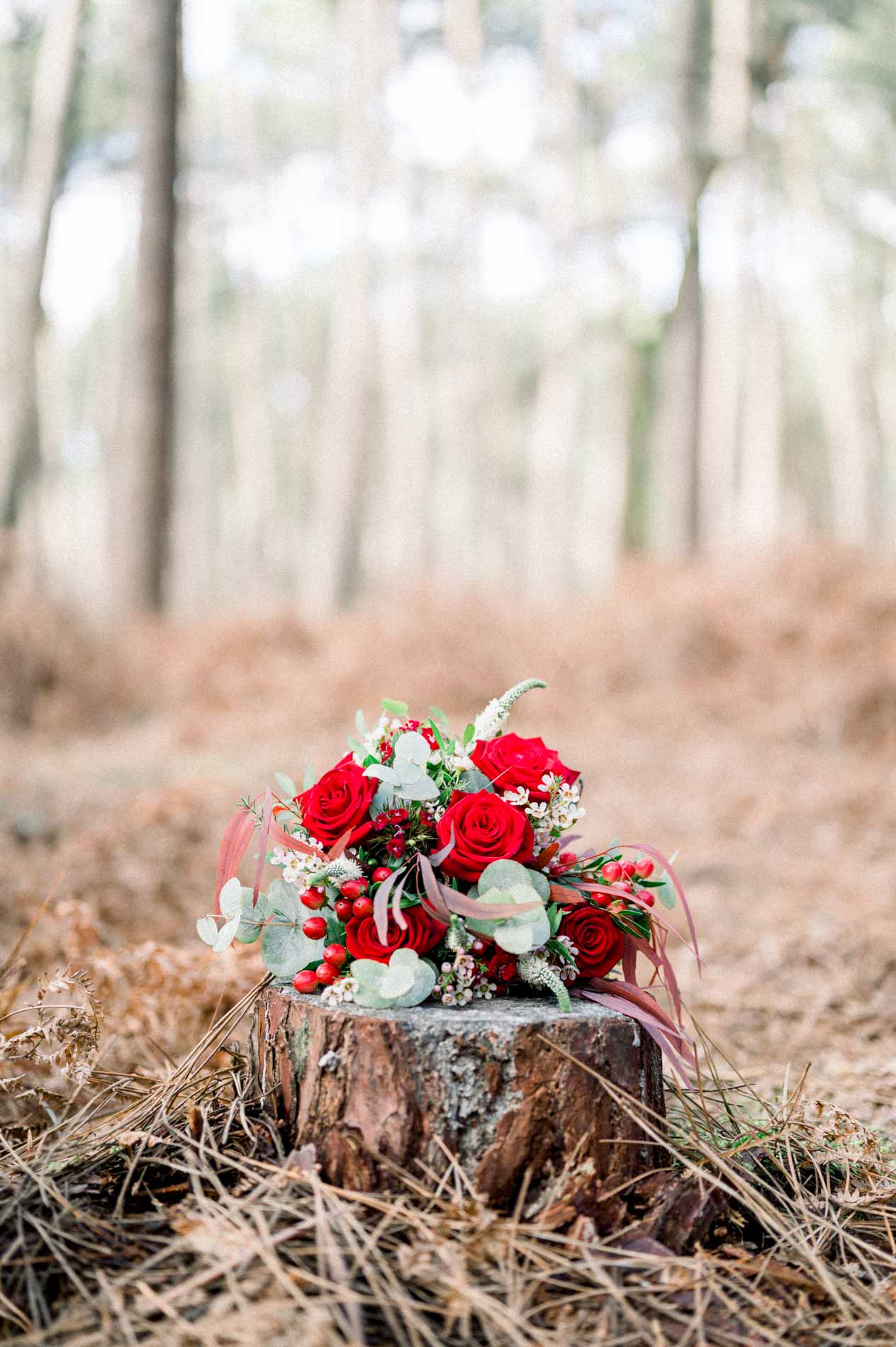 Bouquet of red roses resting on a stump among dry ferns