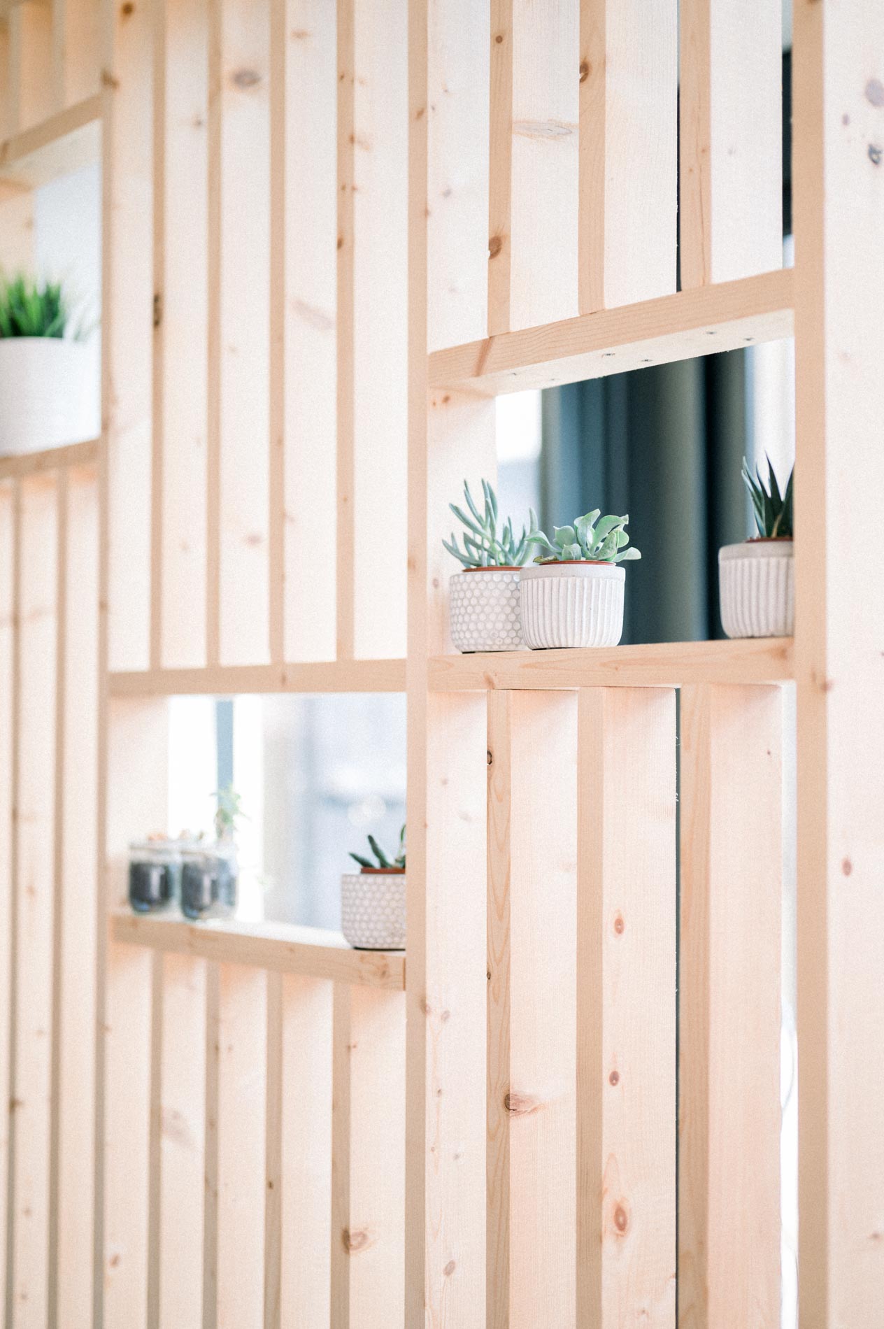 Claustra en bois clair et plantes grasses dans une maison lumineuse
