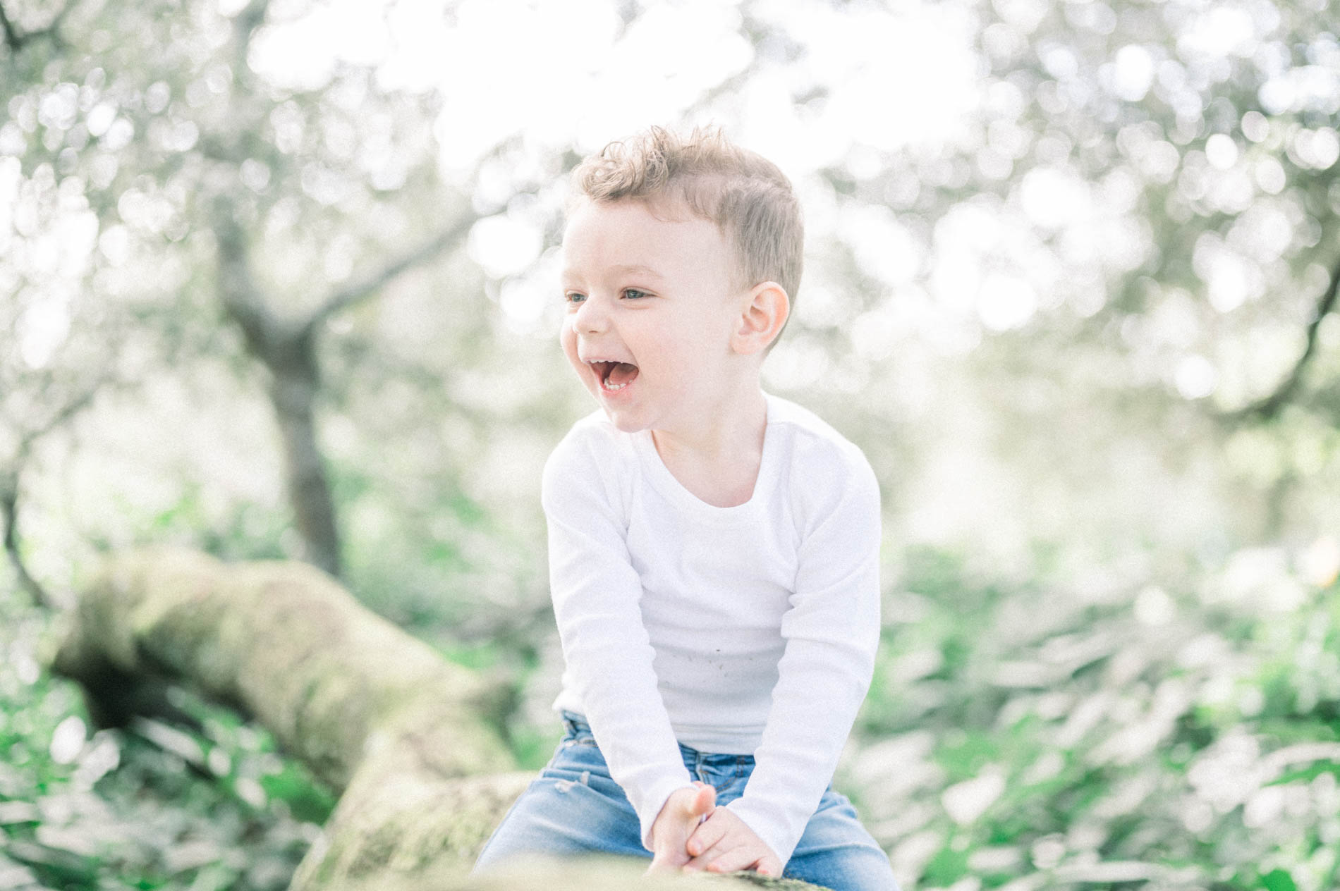 The little boy bursting into laughter as he sits on the mossy log