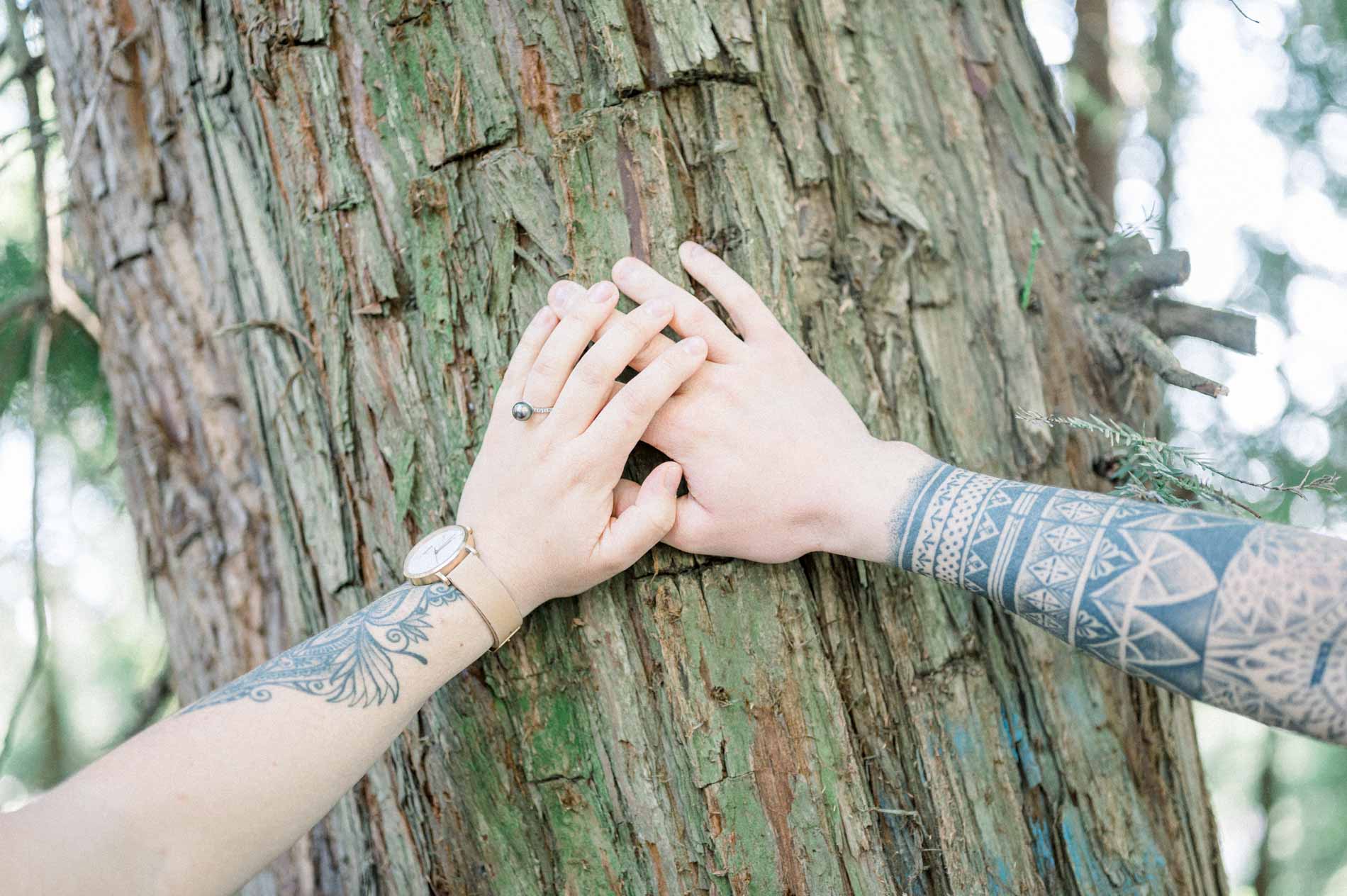 Two hands with tattooed arms resting on redwood bark