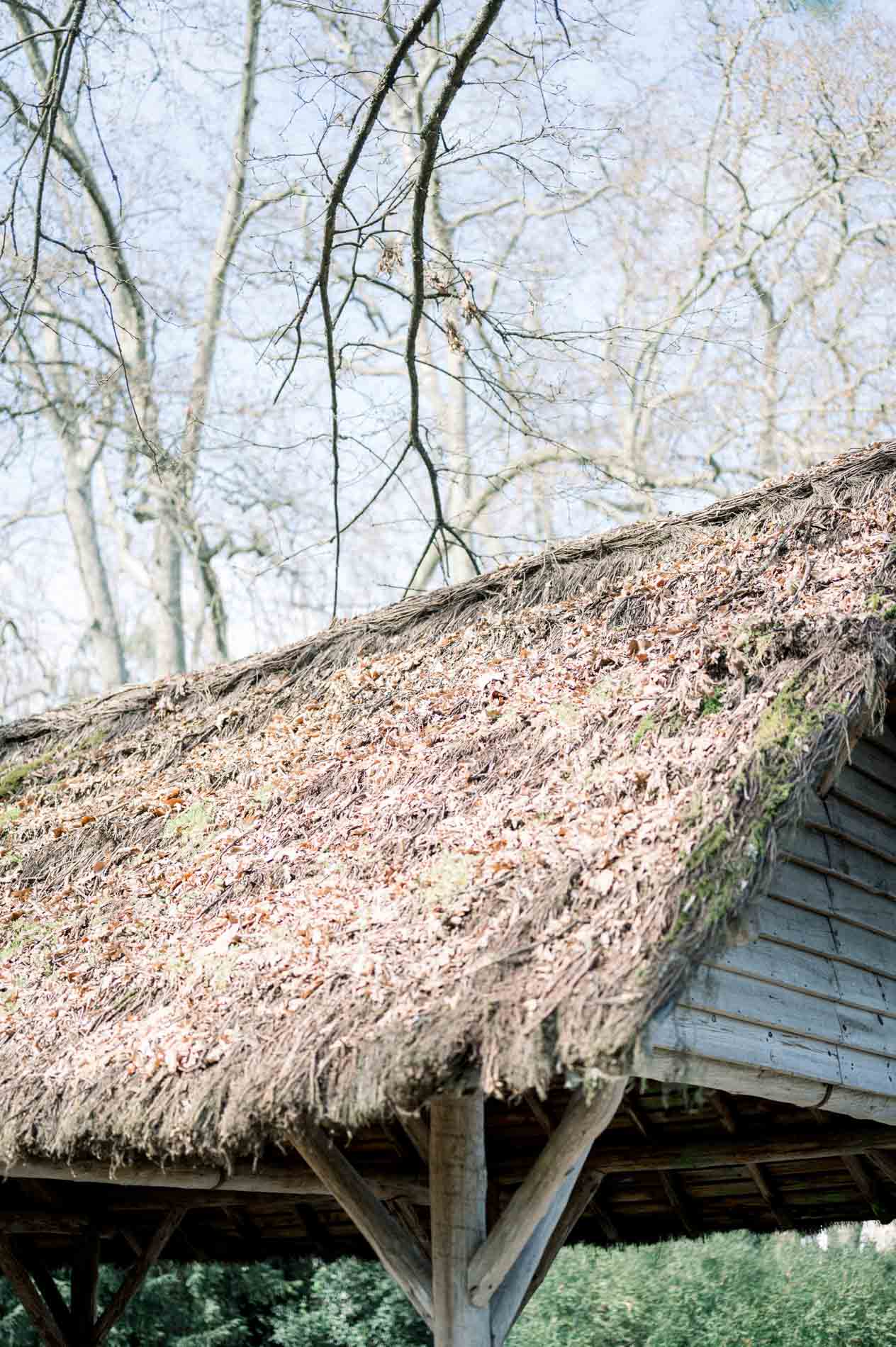 Thatched roof of a wooden shelter beneath bare winter branches