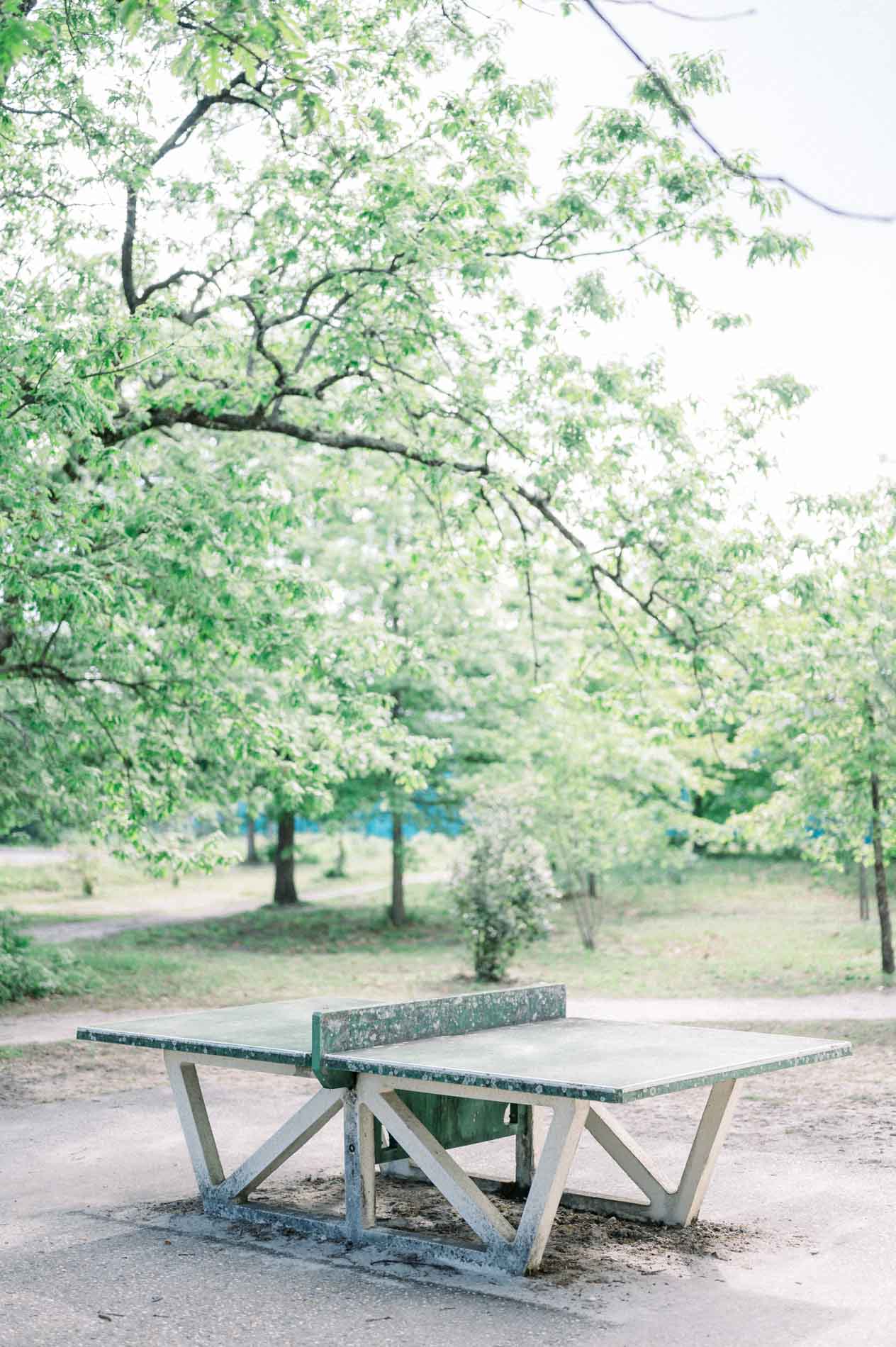 Concrete ping-pong table under the trees in the park