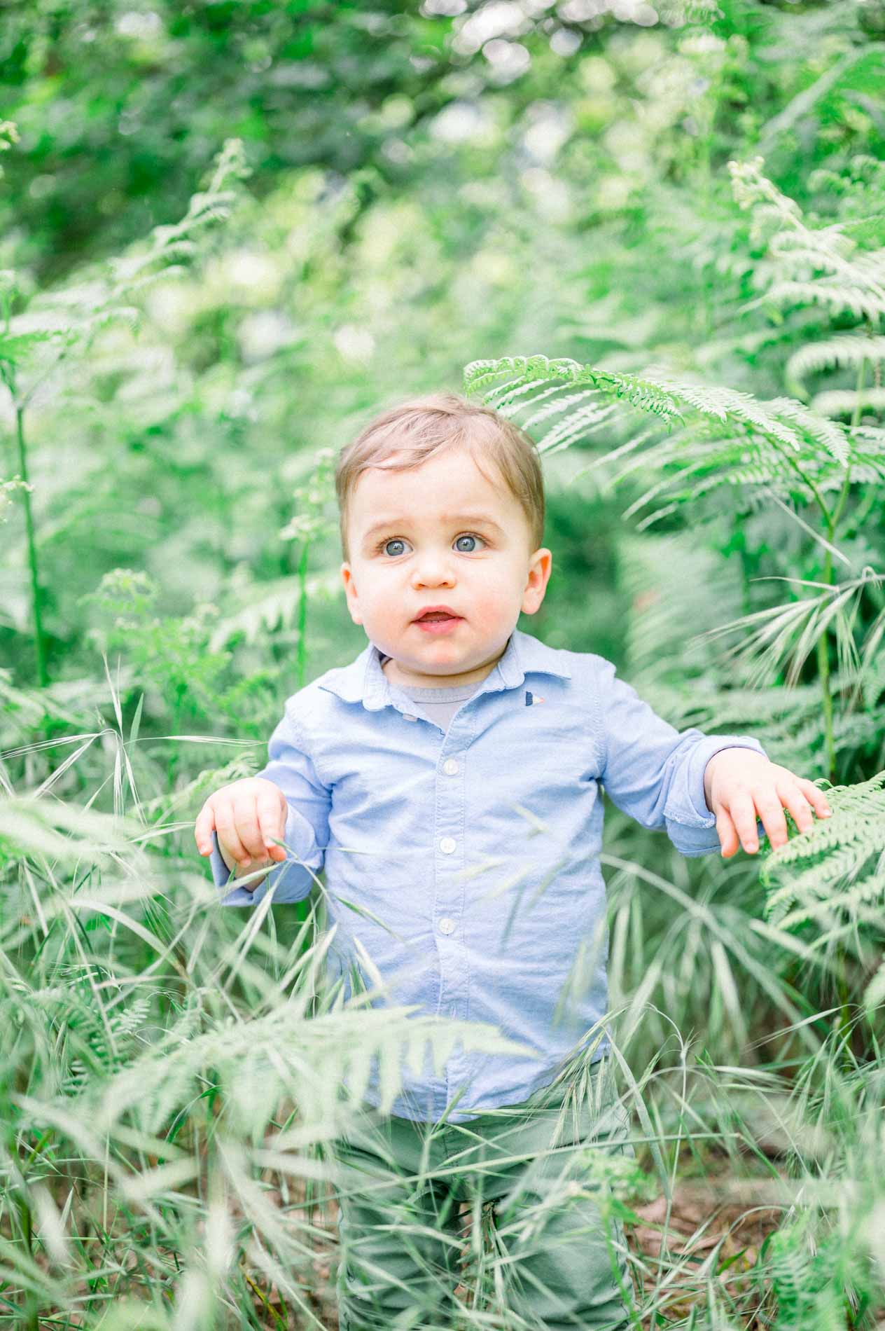 Toddler in a blue shirt standing among the ferns