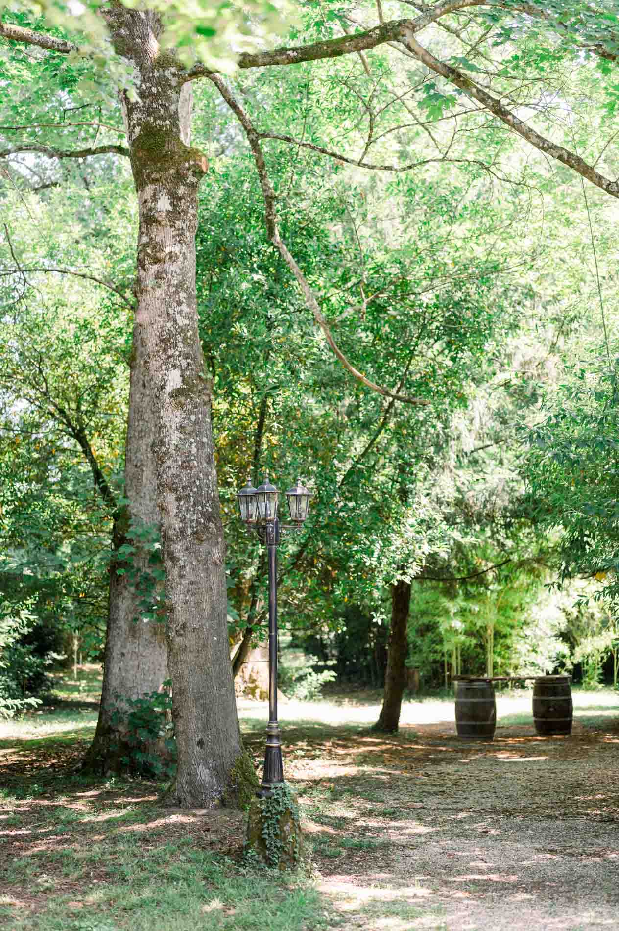 Tall trees and a shaded path in the Chartreuse des Eyres grounds