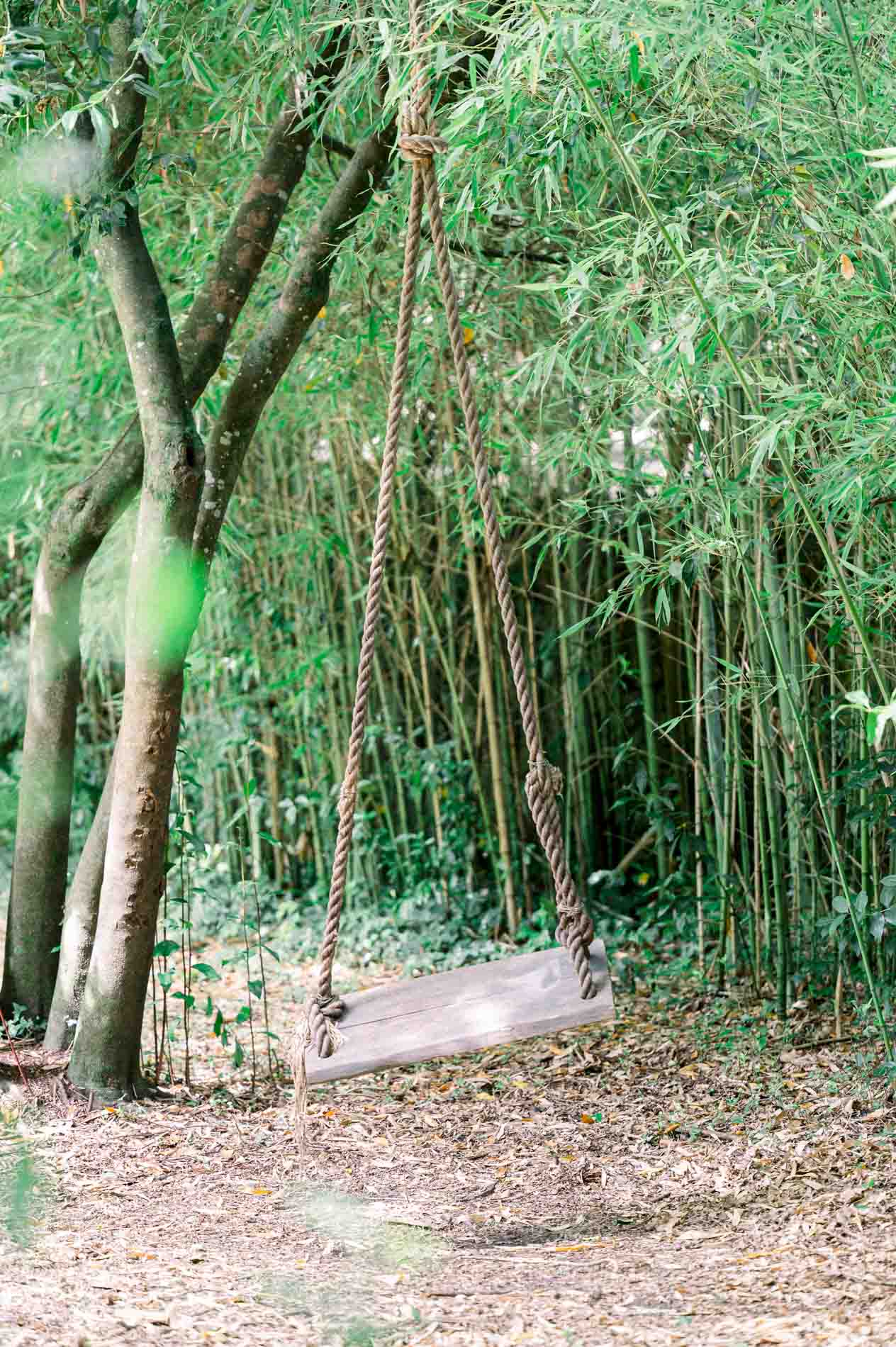 Wooden swing hanging among the bamboo in the Chartreuse grounds
