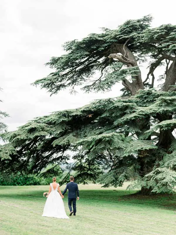 Couple walking hand in hand towards the great cedar in the grounds
