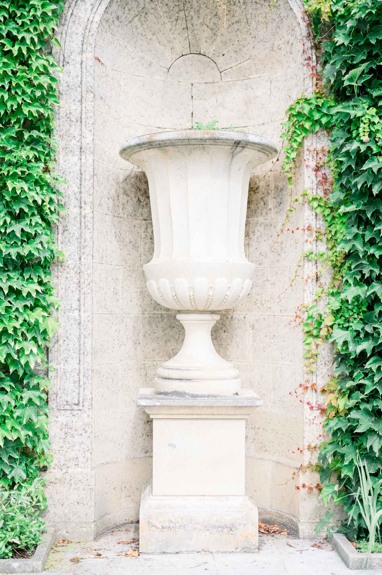 Stone urn in a niche covered with Virginia creeper