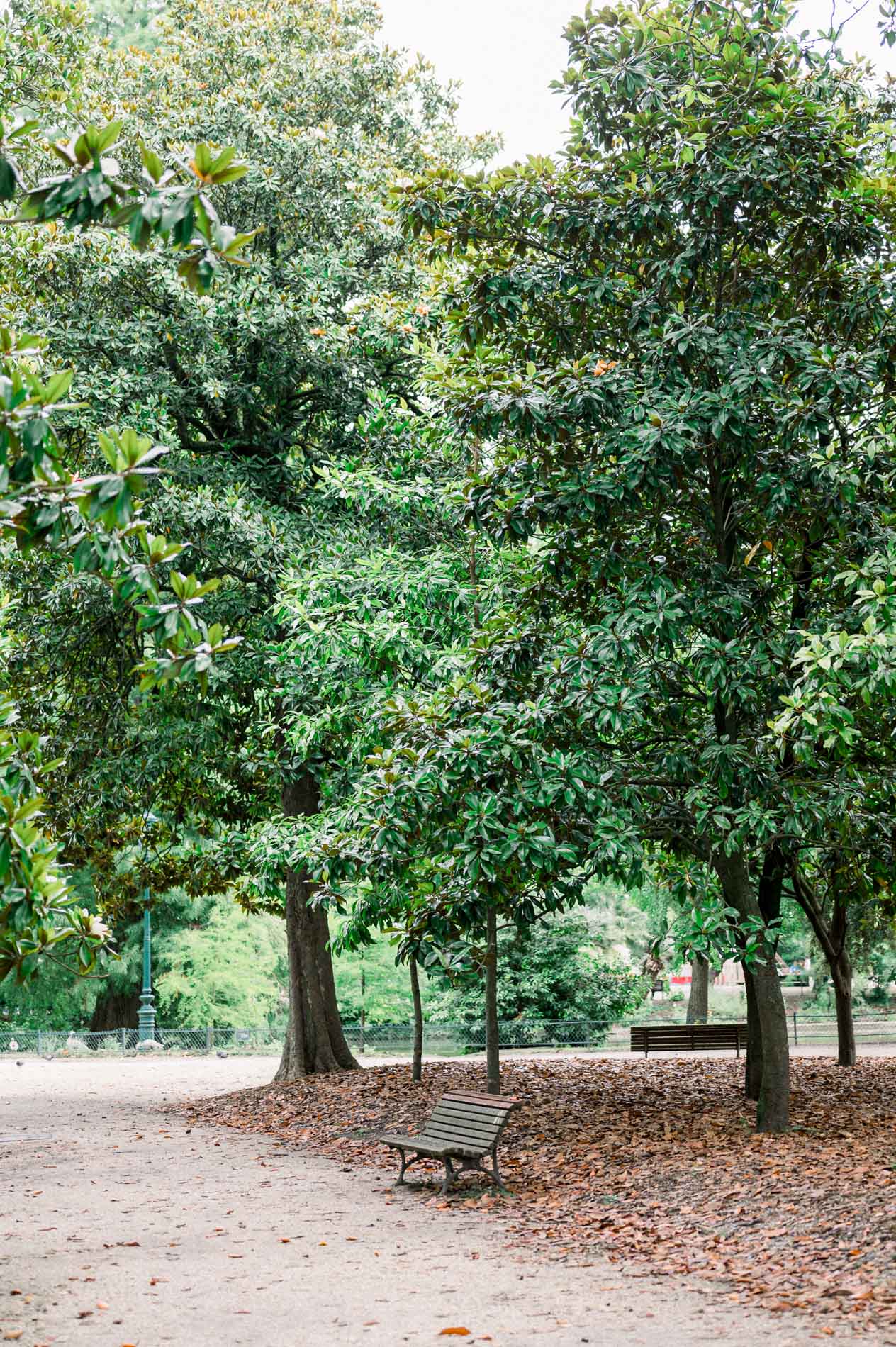 Shaded path and bench beneath the magnolias of the Jardin Public