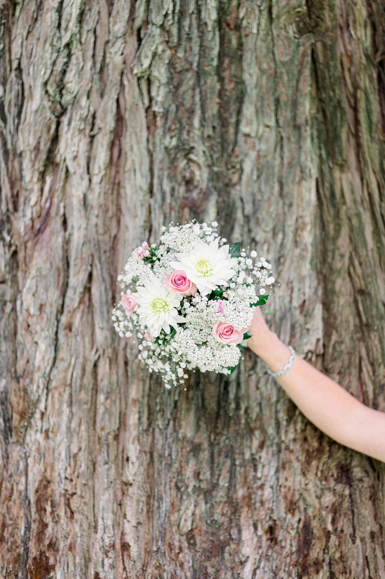 Bouquet of roses and baby's breath held against a large tree trunk
