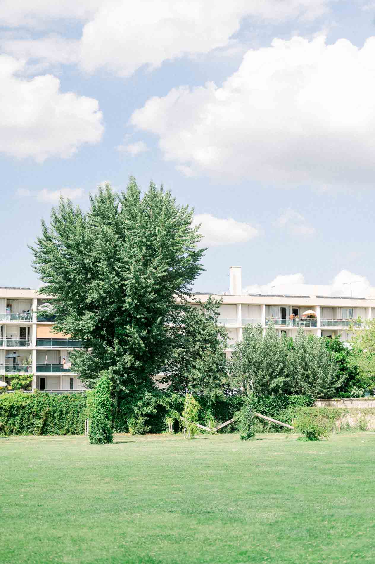 Large tree on a lawn under a blue cloudy sky in Bordeaux