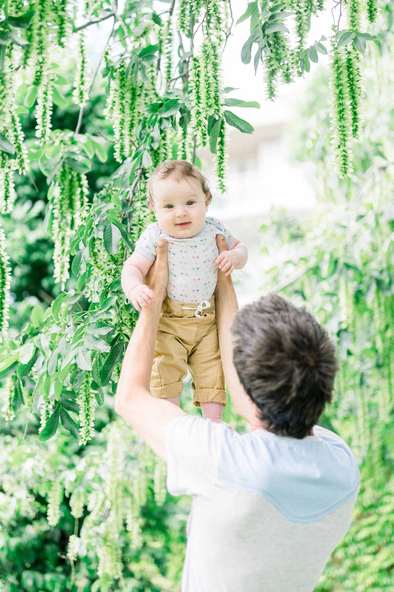 The dad lifting his smiling baby beneath the drooping branches